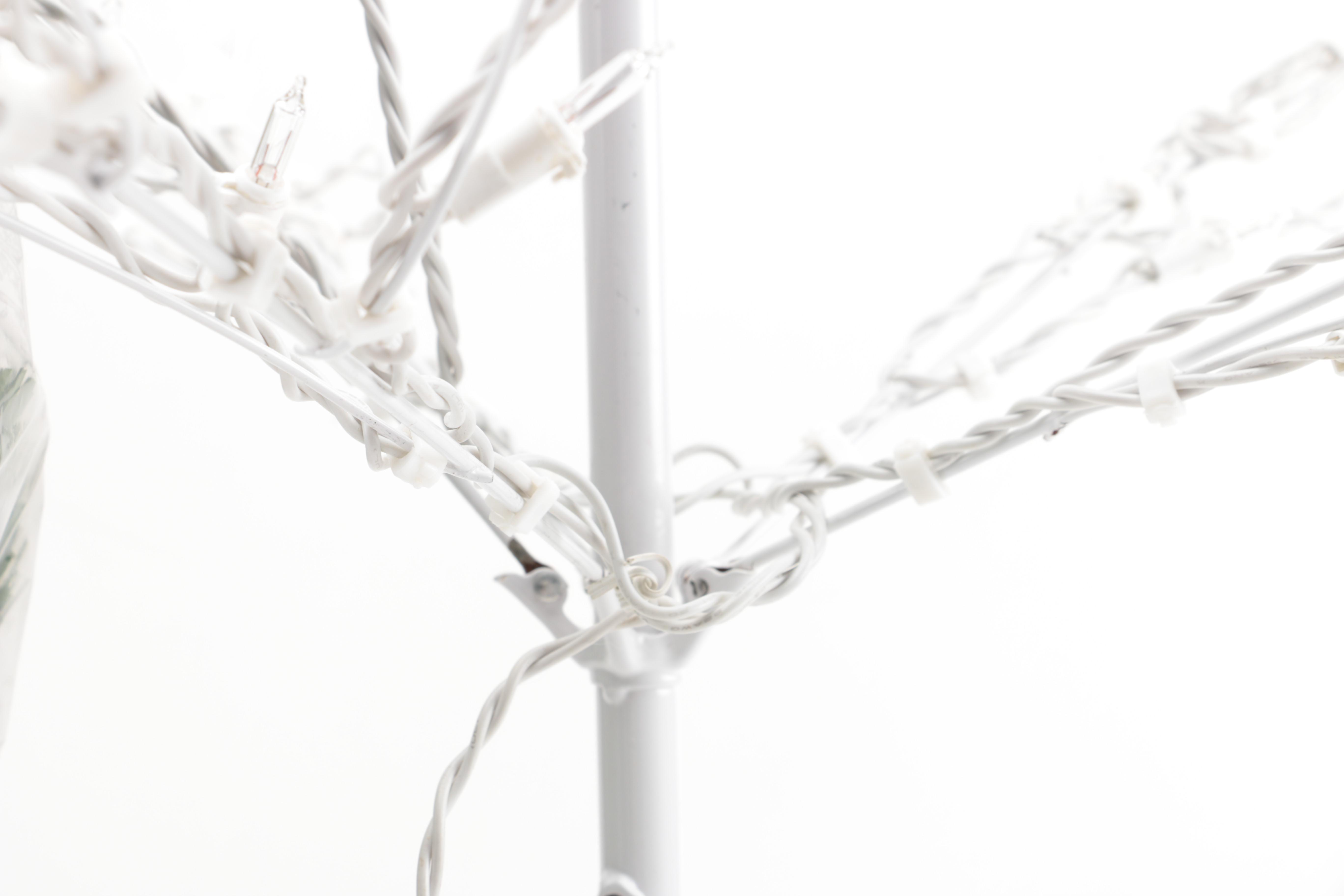 Assorted Christmas Trees