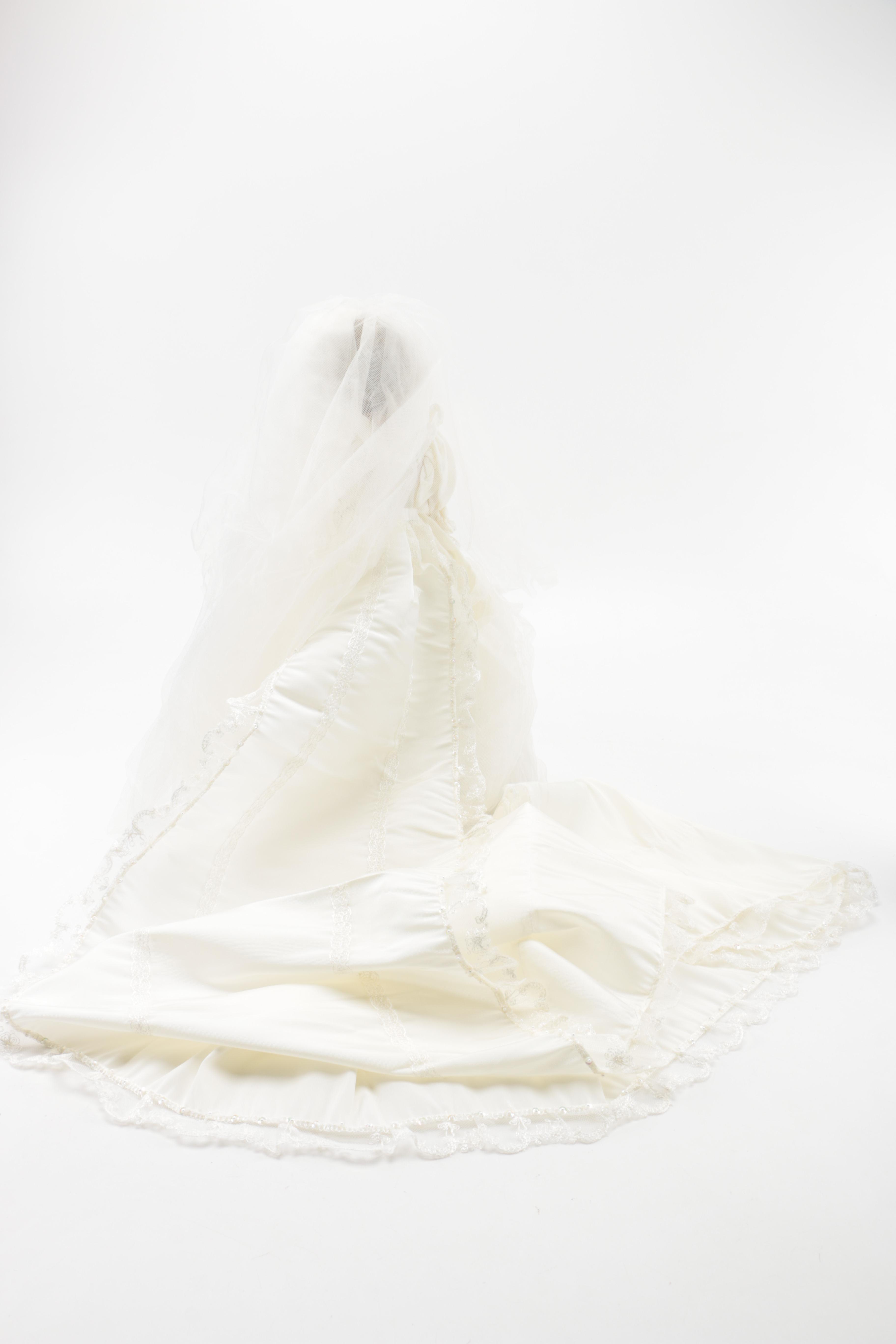 Princess Diana and Prince Charles Dolls by the Danbury Mint