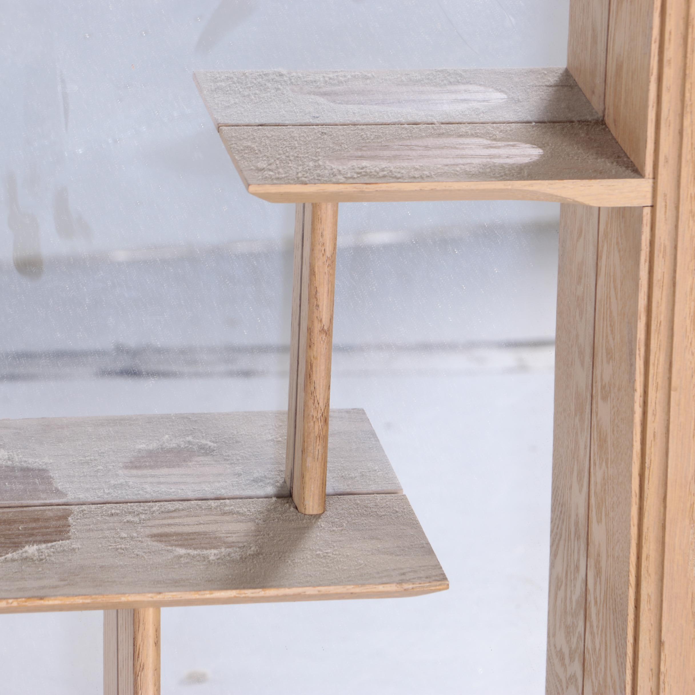 Hanging Mirrored Display Shelves