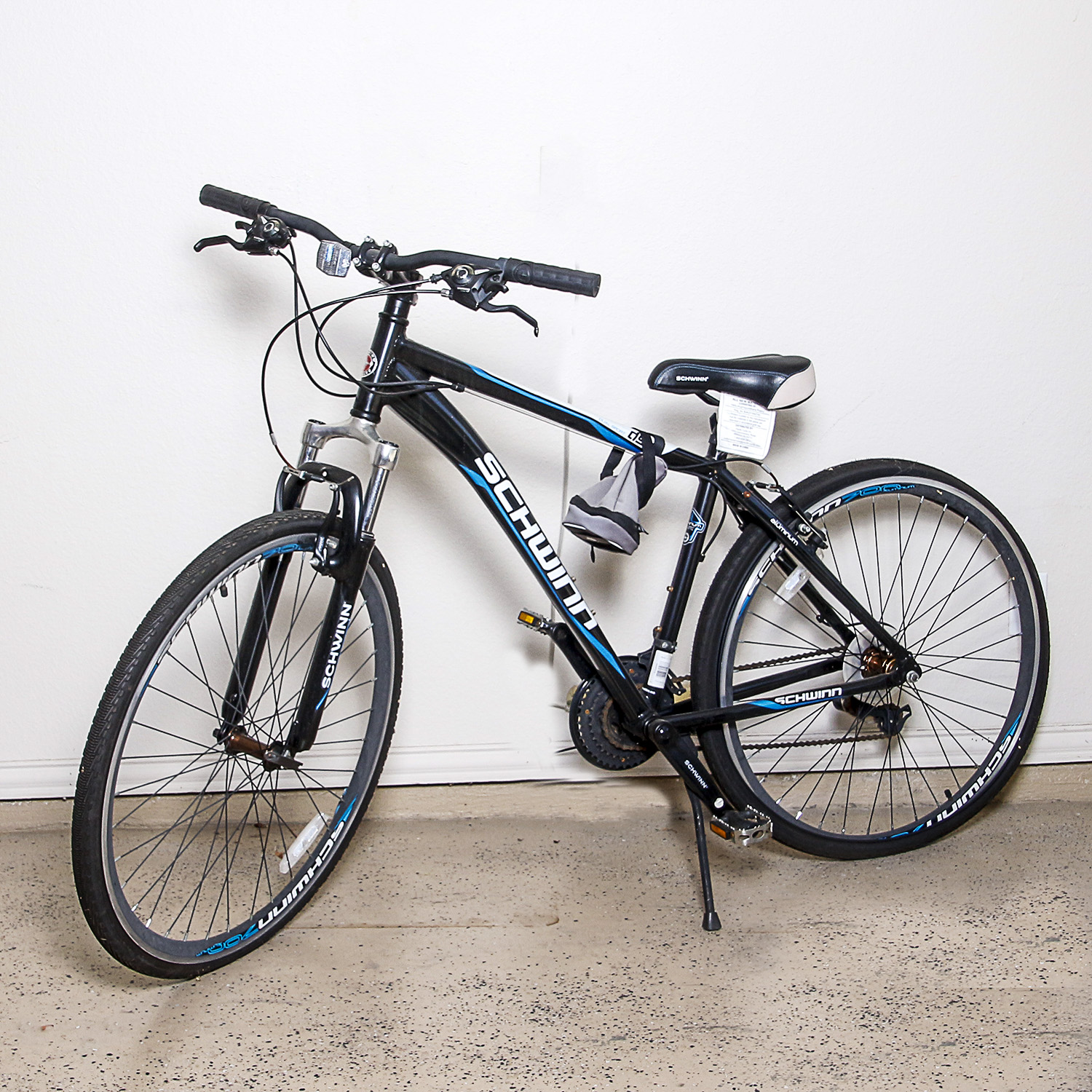 Schwinn Dual Sport Bike