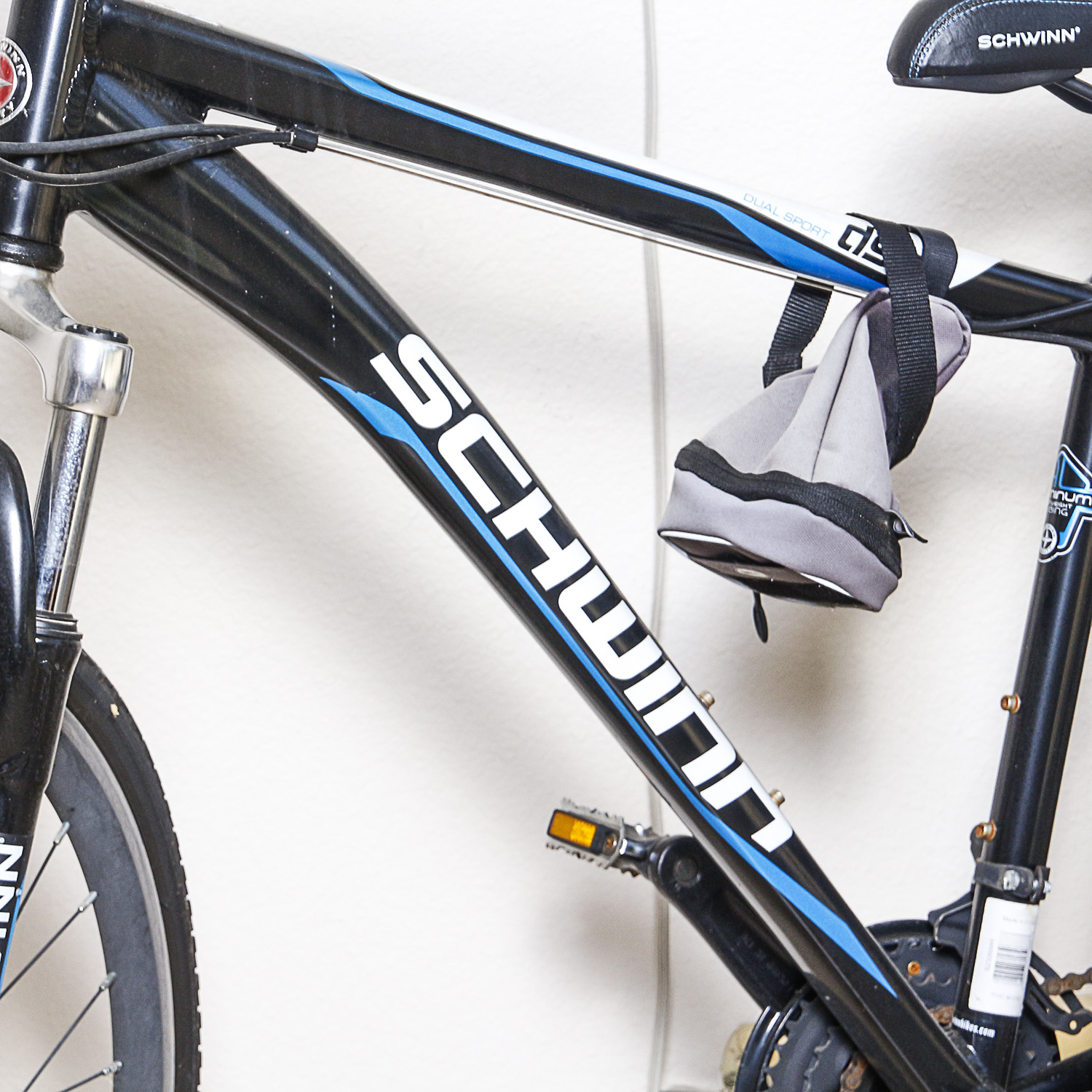 Schwinn Dual Sport Bike