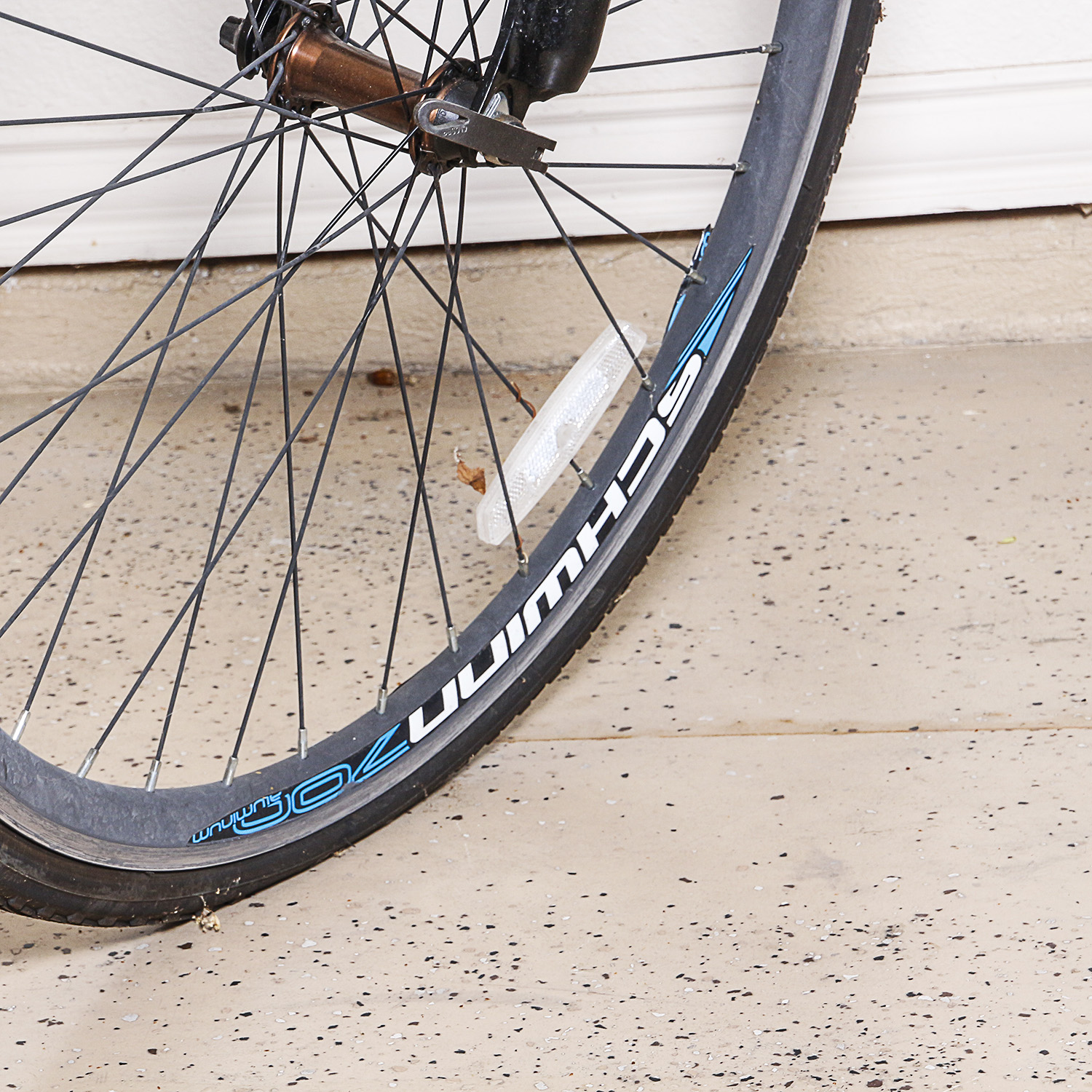 Schwinn Dual Sport Bike