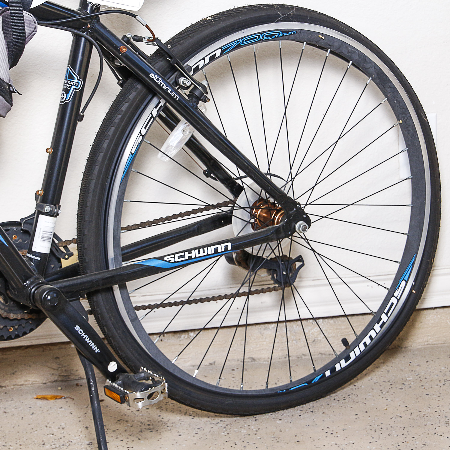 Schwinn Dual Sport Bike