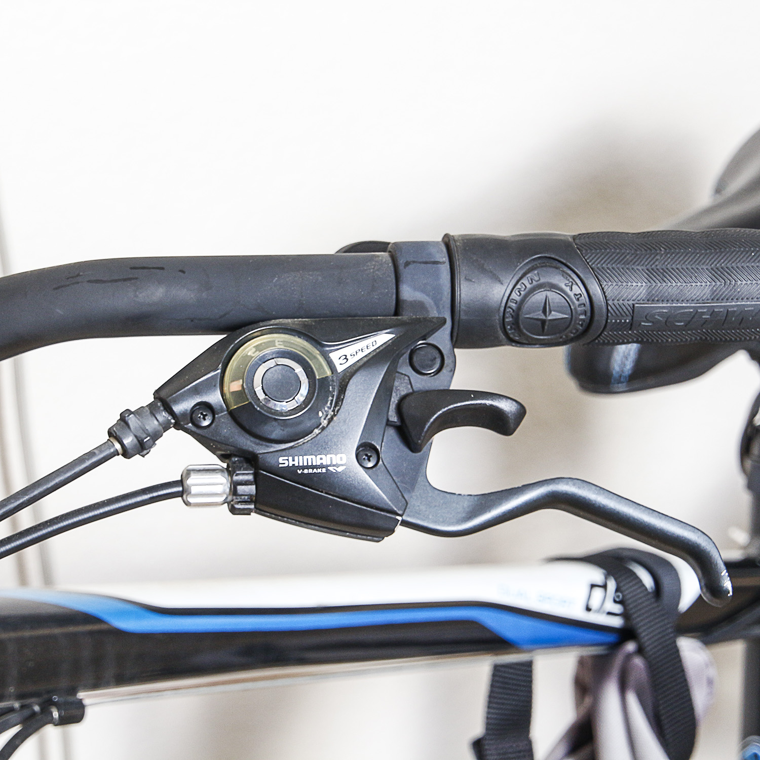 Schwinn Dual Sport Bike