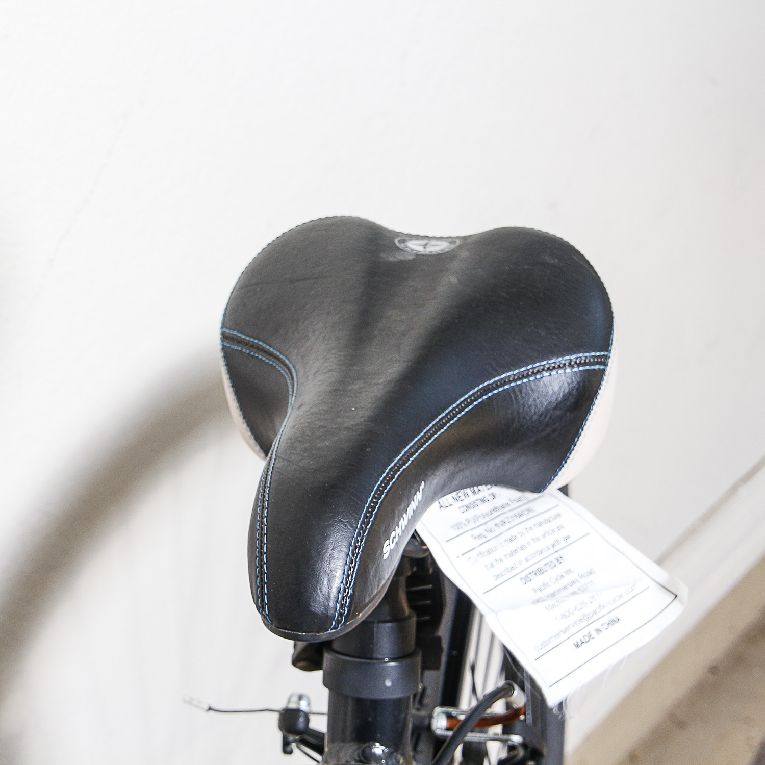 Schwinn Dual Sport Bike