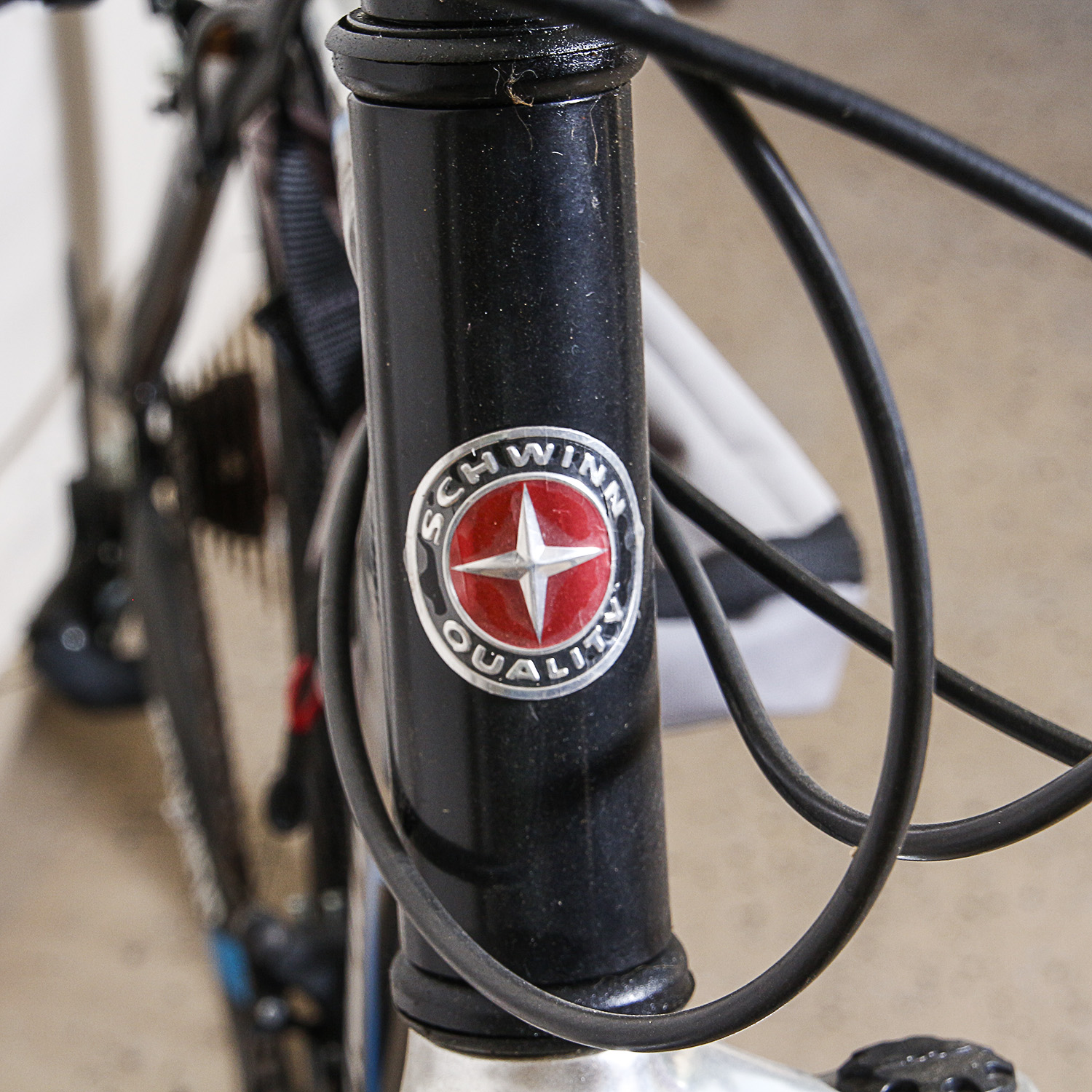 Schwinn Dual Sport Bike