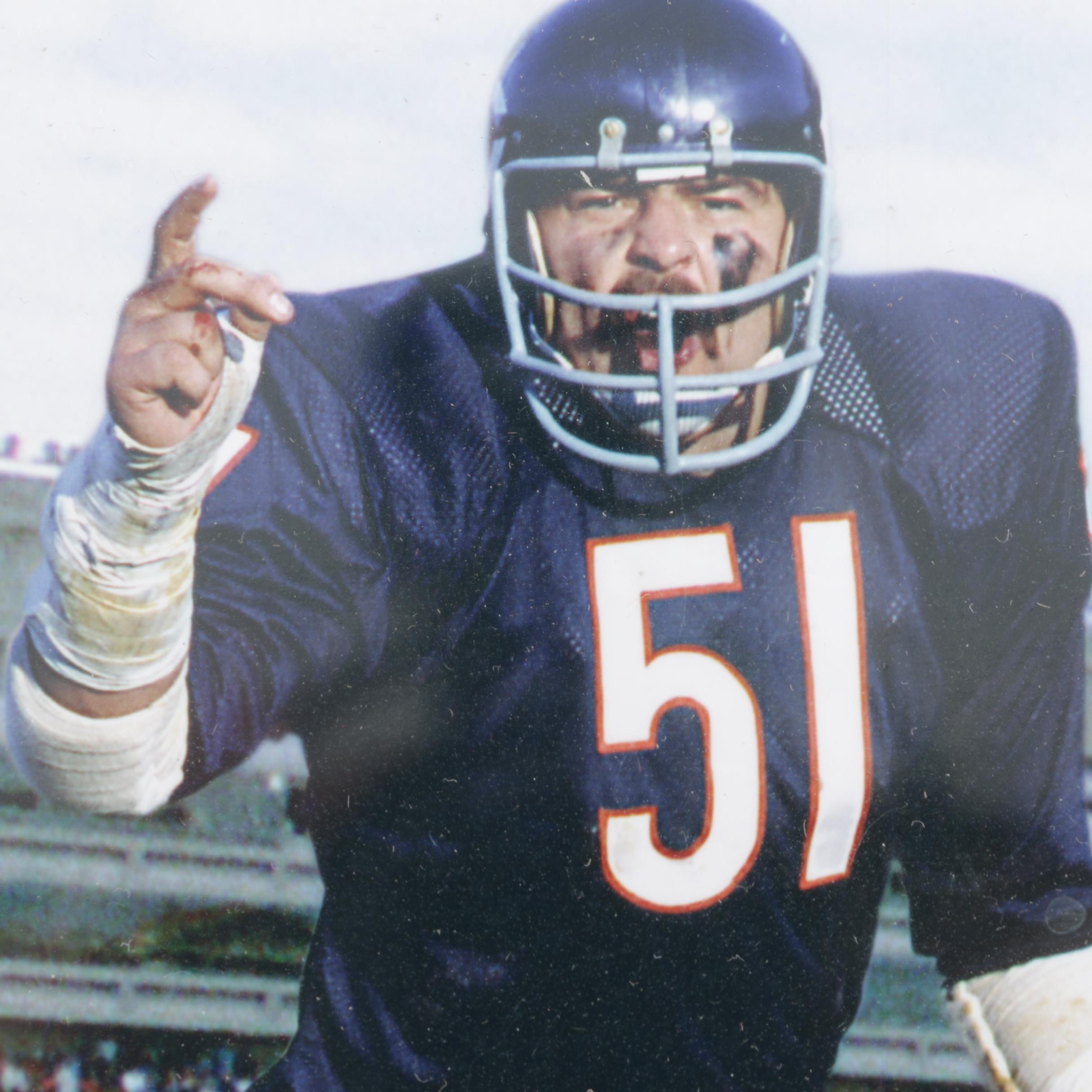 "Bears Linebackers--A History of Greatness" Print