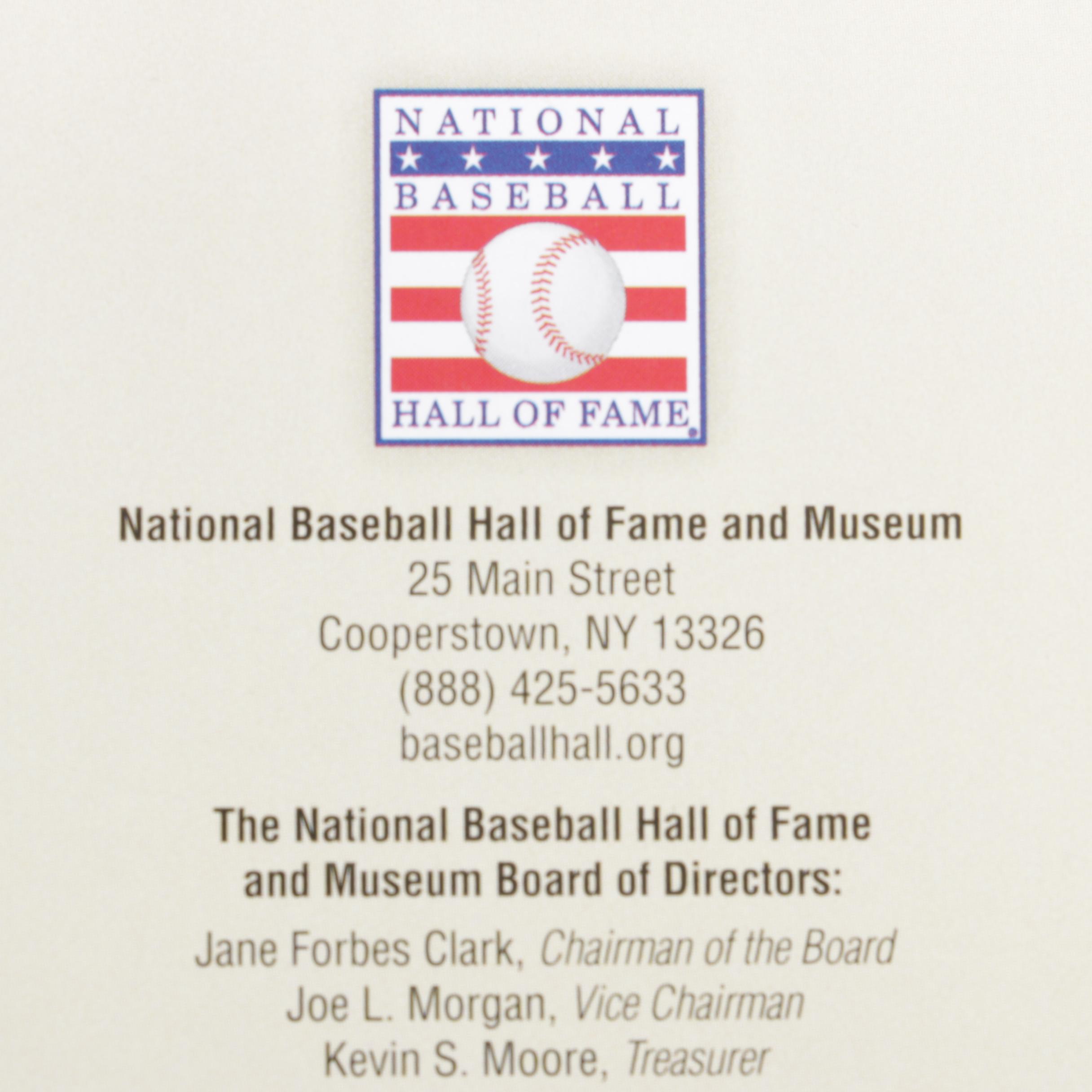 Baseball Books Including "The Pursuit of Perfection: Ted Williams"