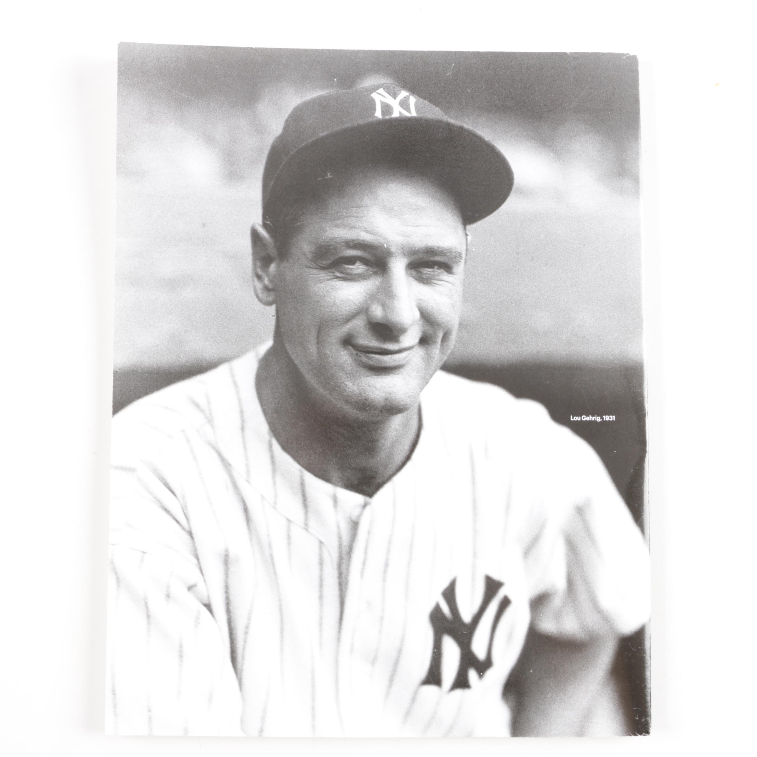 Baseball Books Including "The Pursuit of Perfection: Ted Williams"