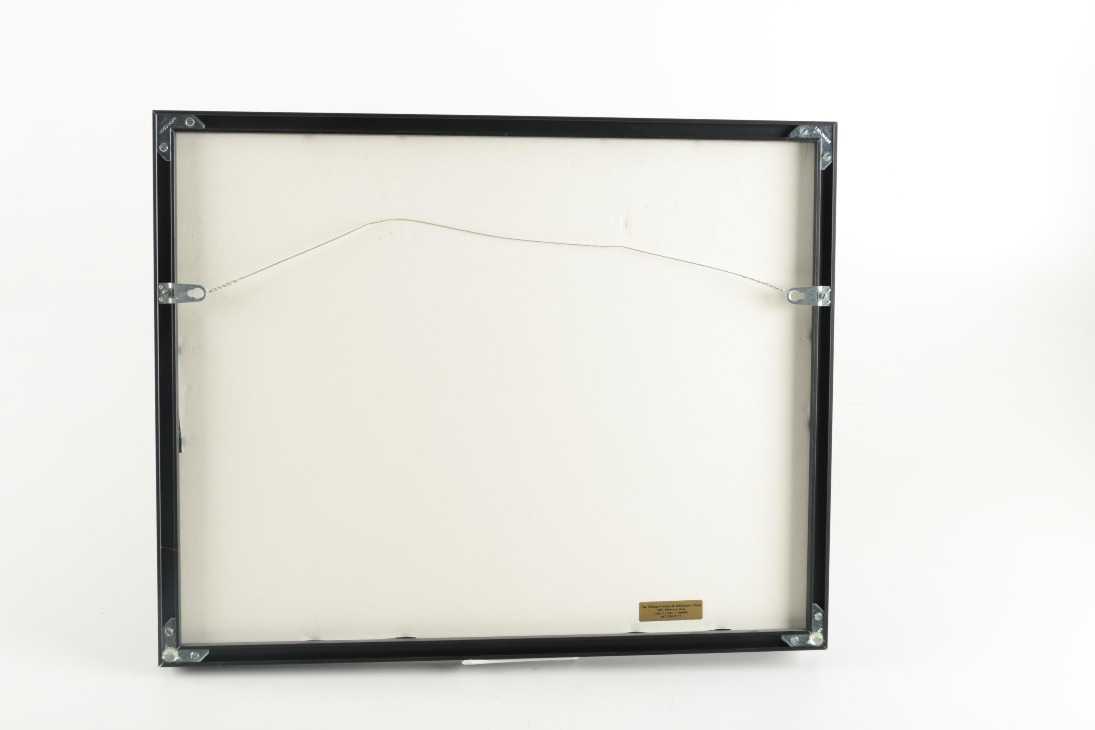 Framed Collage of Mickey Mantel Photographs