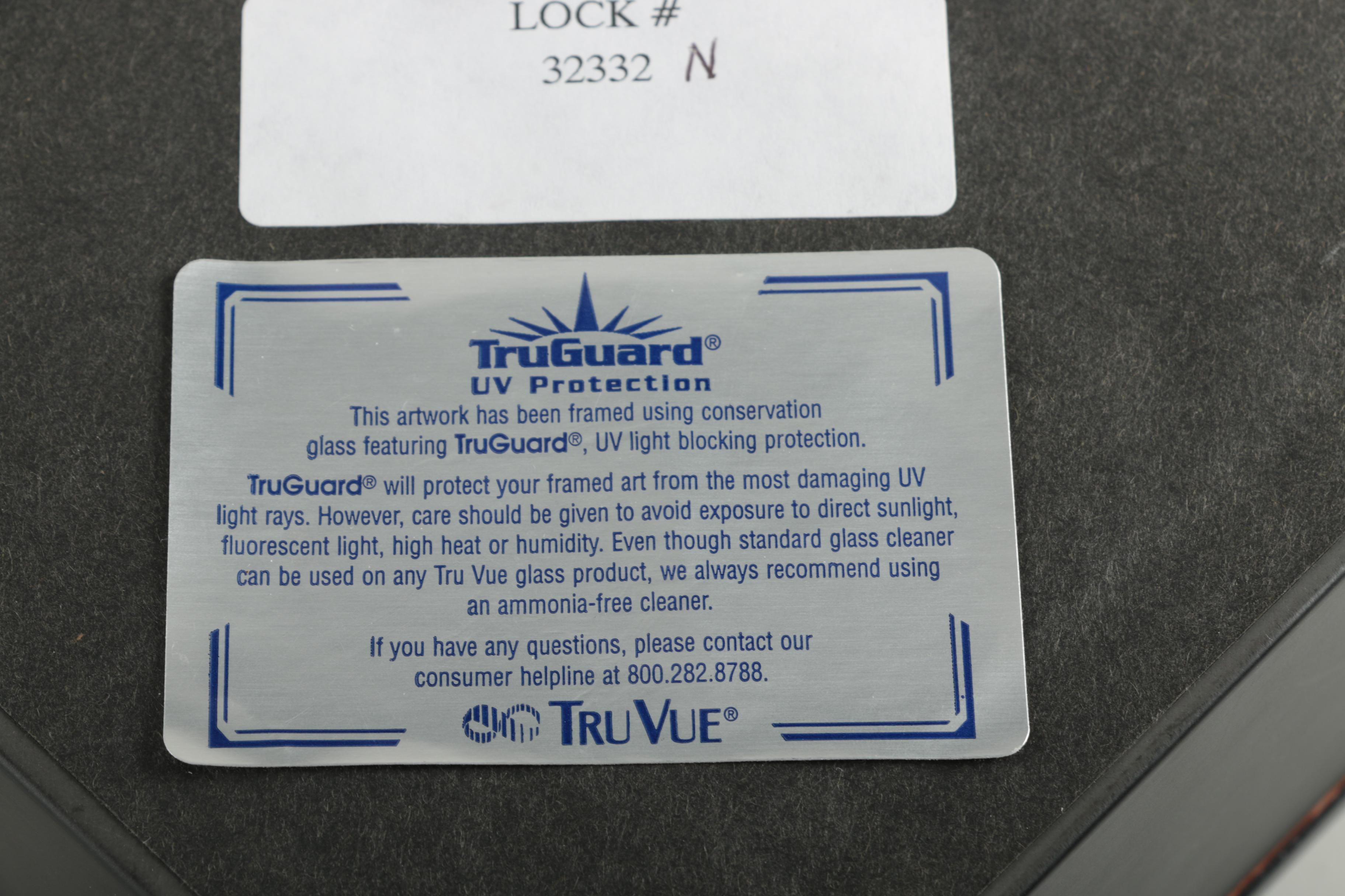 TruVue Baseball Display Box