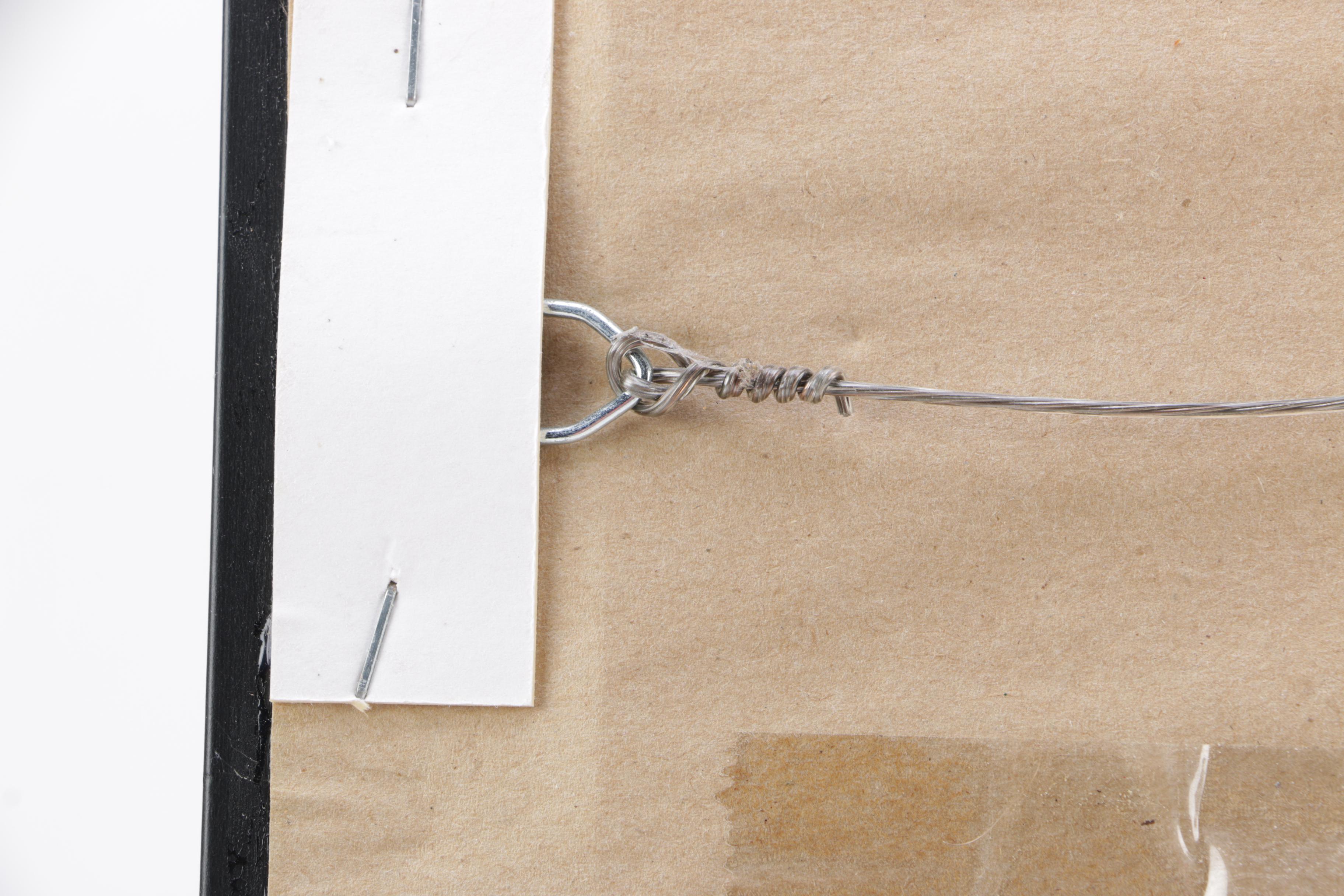 Signed Ray Nitschke Green Bay Packers Photo