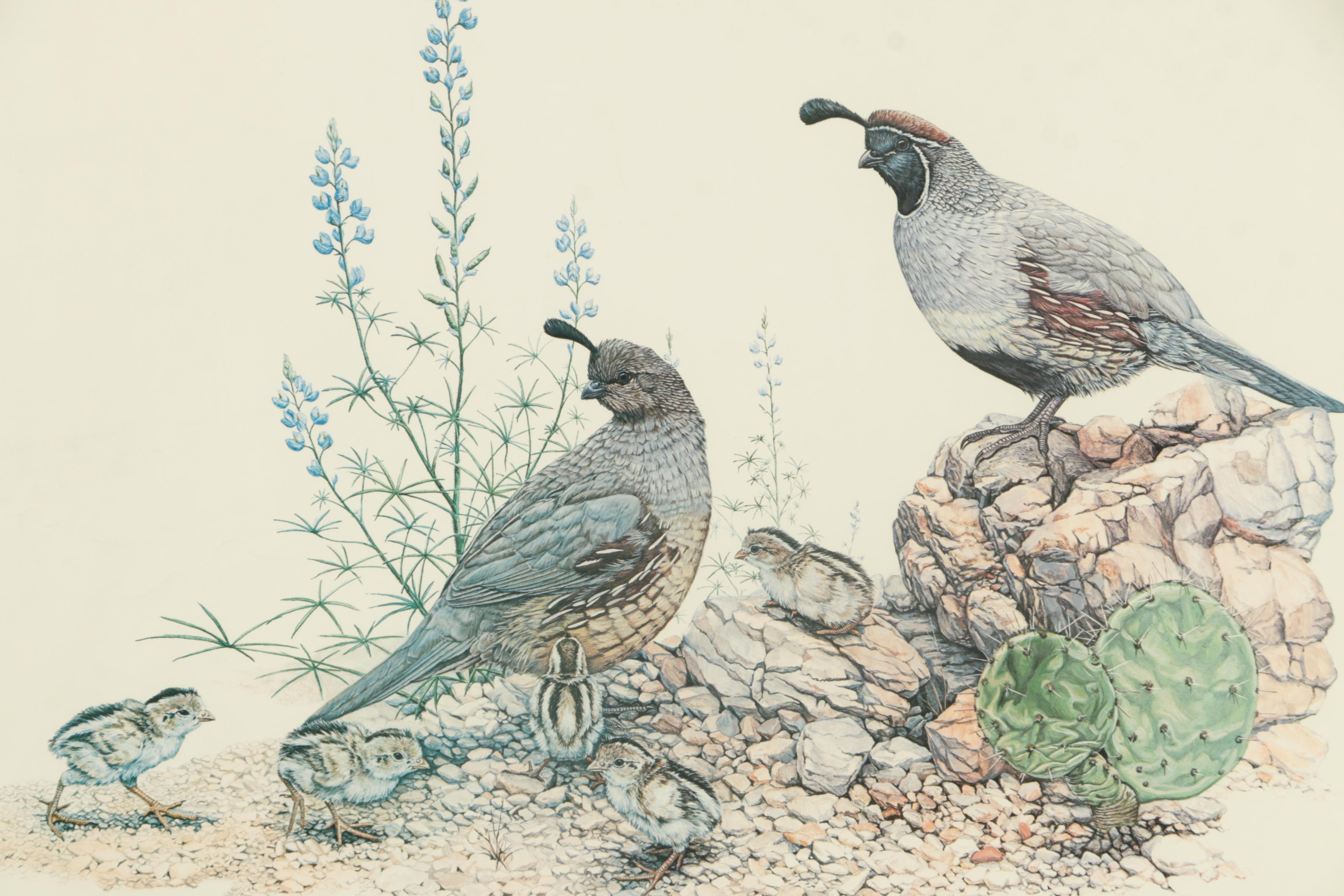 Offset Lithograph on Paper After Gary J. Dixon of Quails