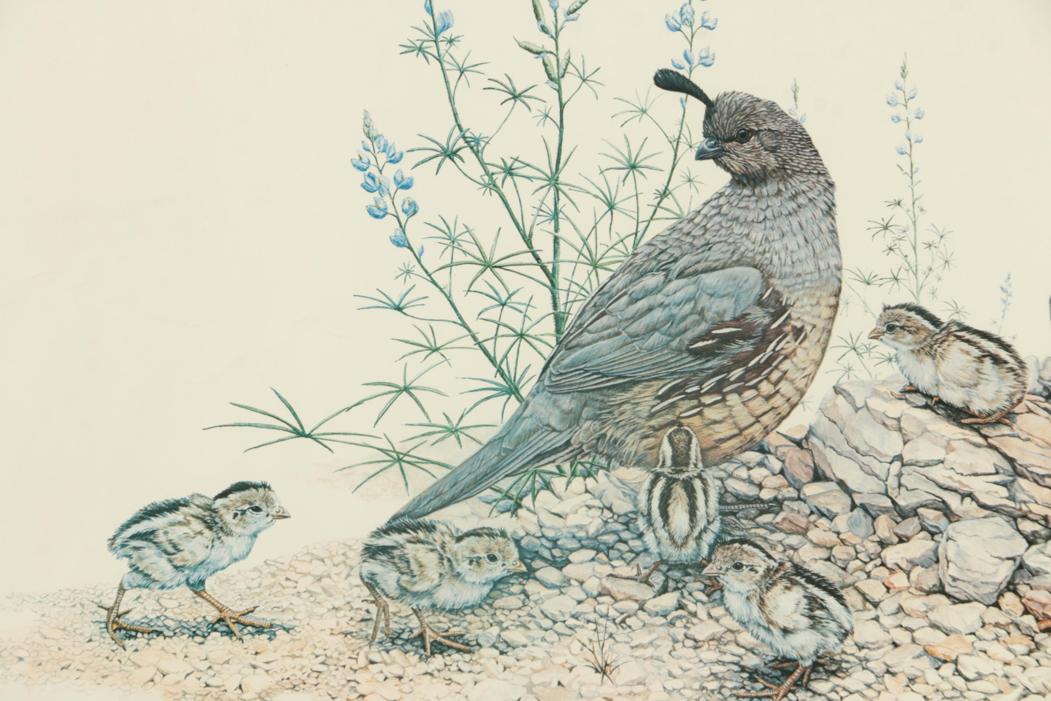 Offset Lithograph on Paper After Gary J. Dixon of Quails