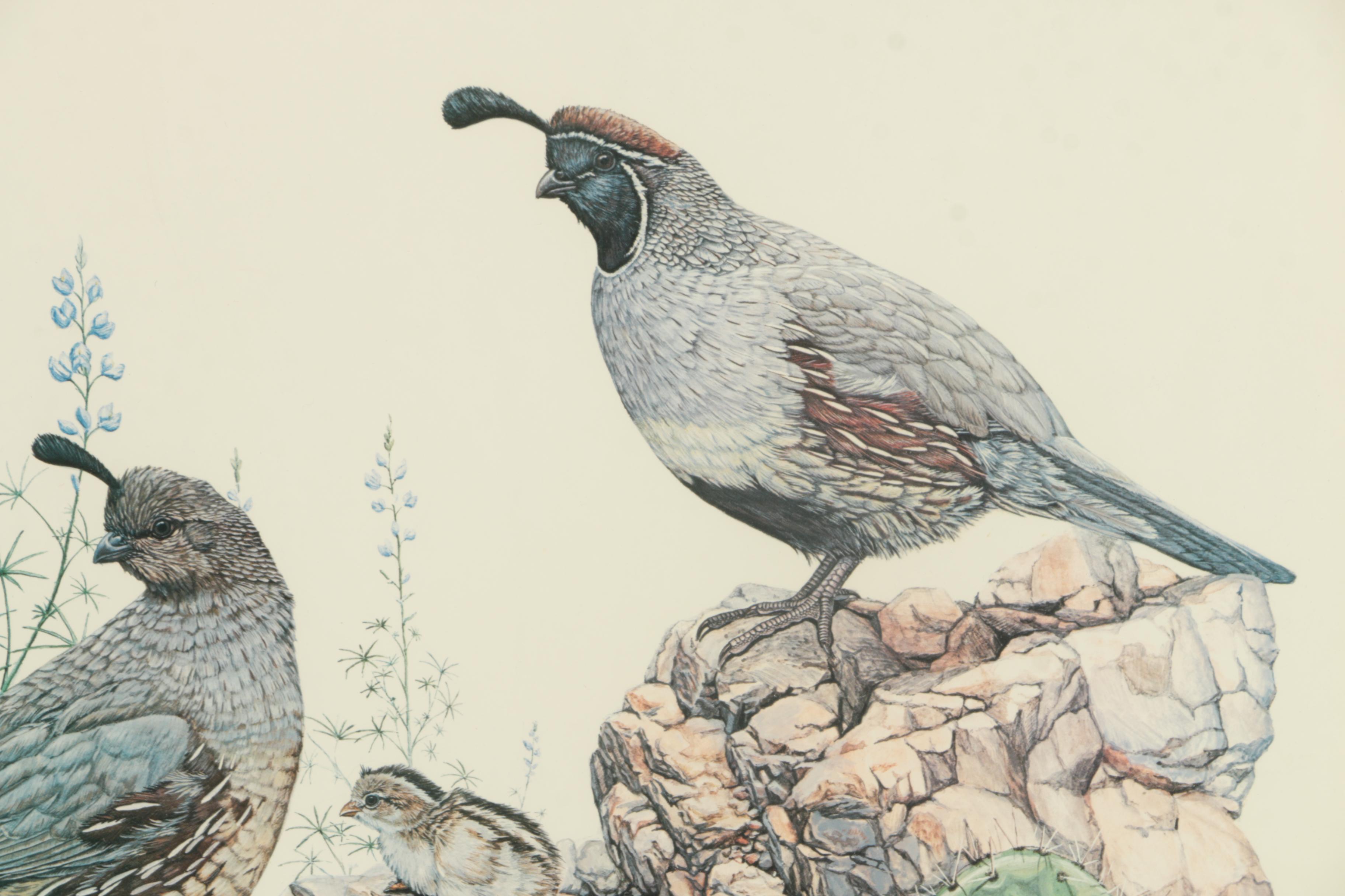 Offset Lithograph on Paper After Gary J. Dixon of Quails