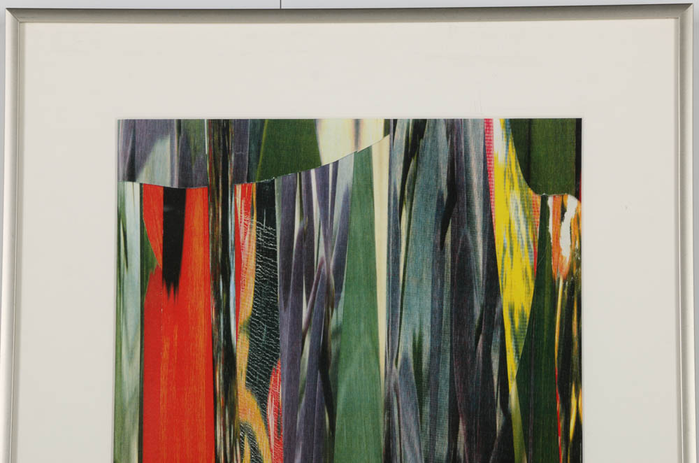 Don Werner Digital Photo Collage on Paper "Poppies"