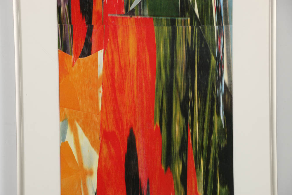 Don Werner Digital Photo Collage on Paper "Poppies"