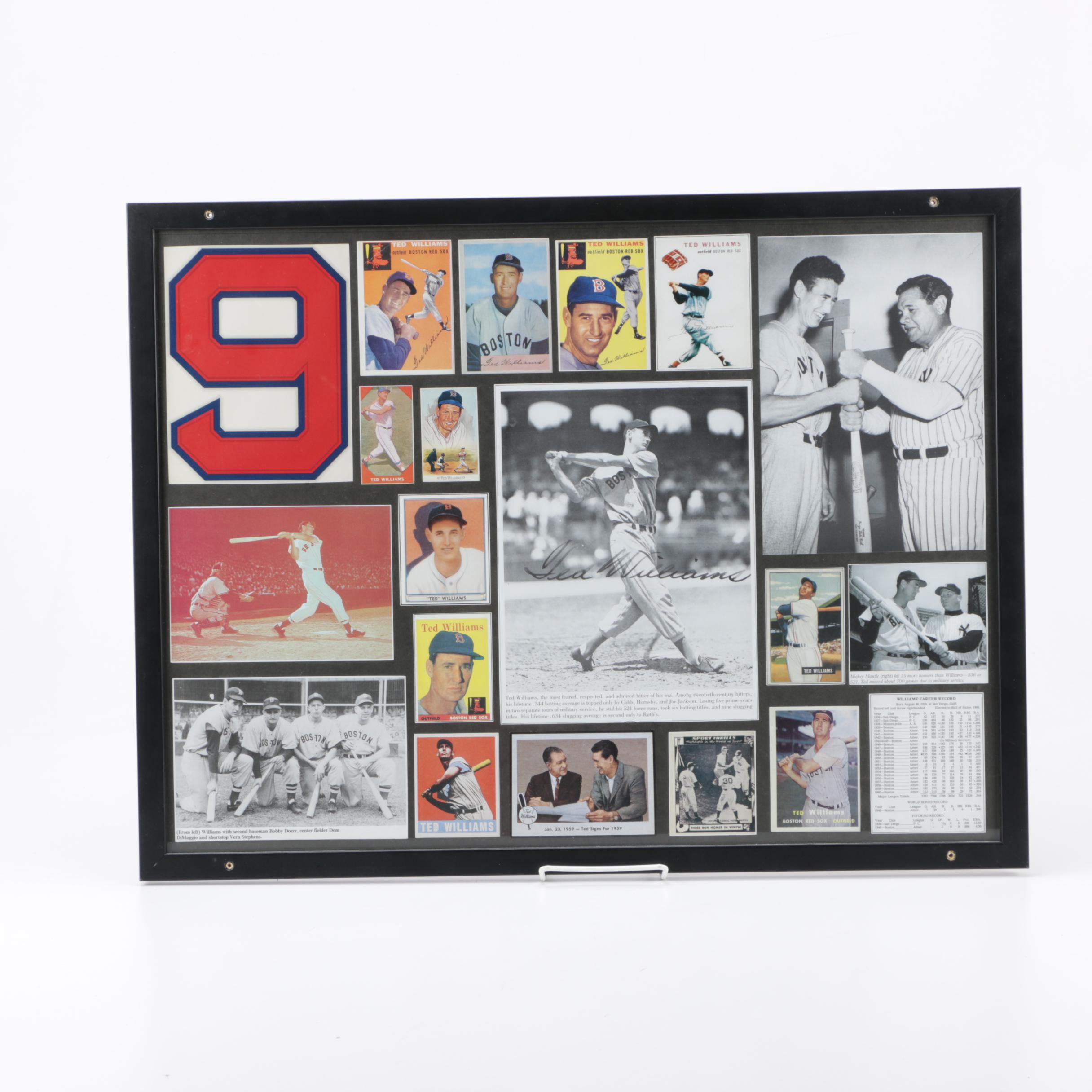 Ted Williams Collage