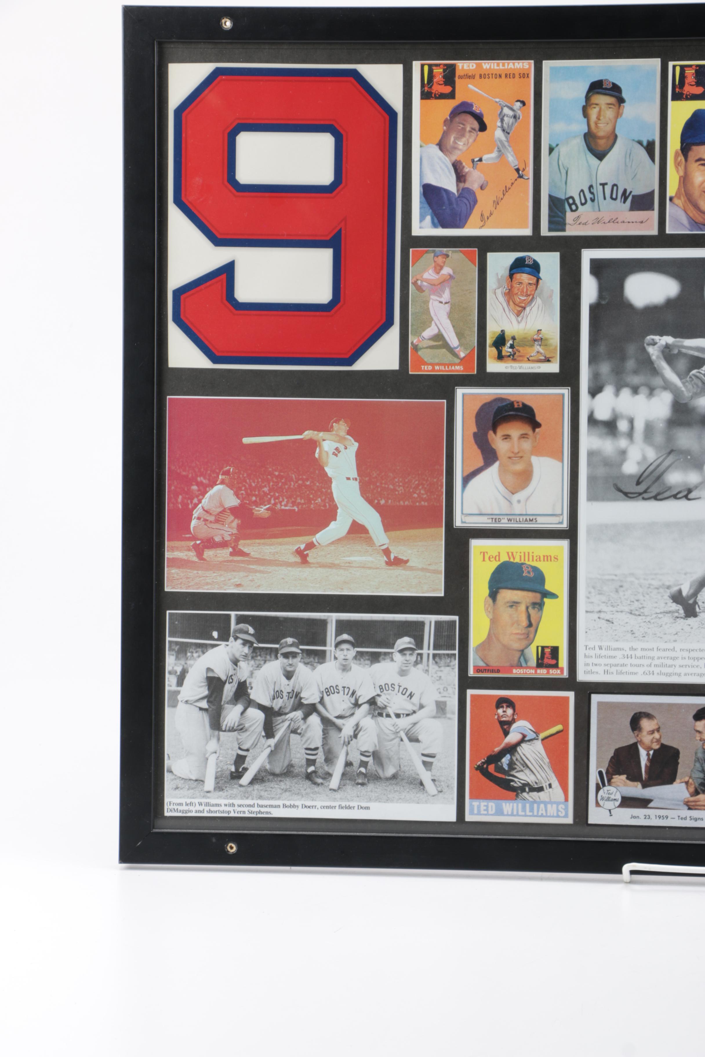 Ted Williams Collage