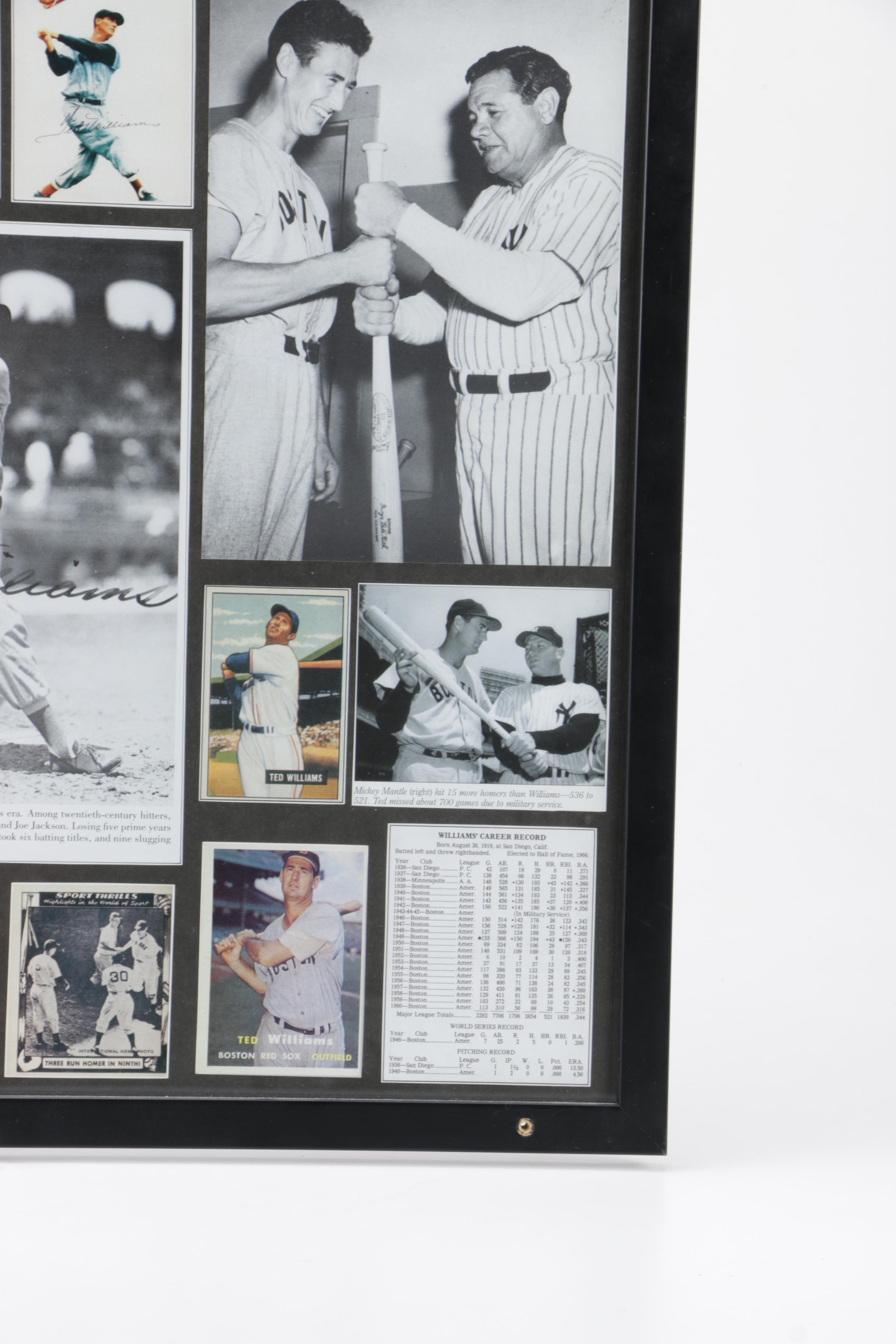 Ted Williams Collage