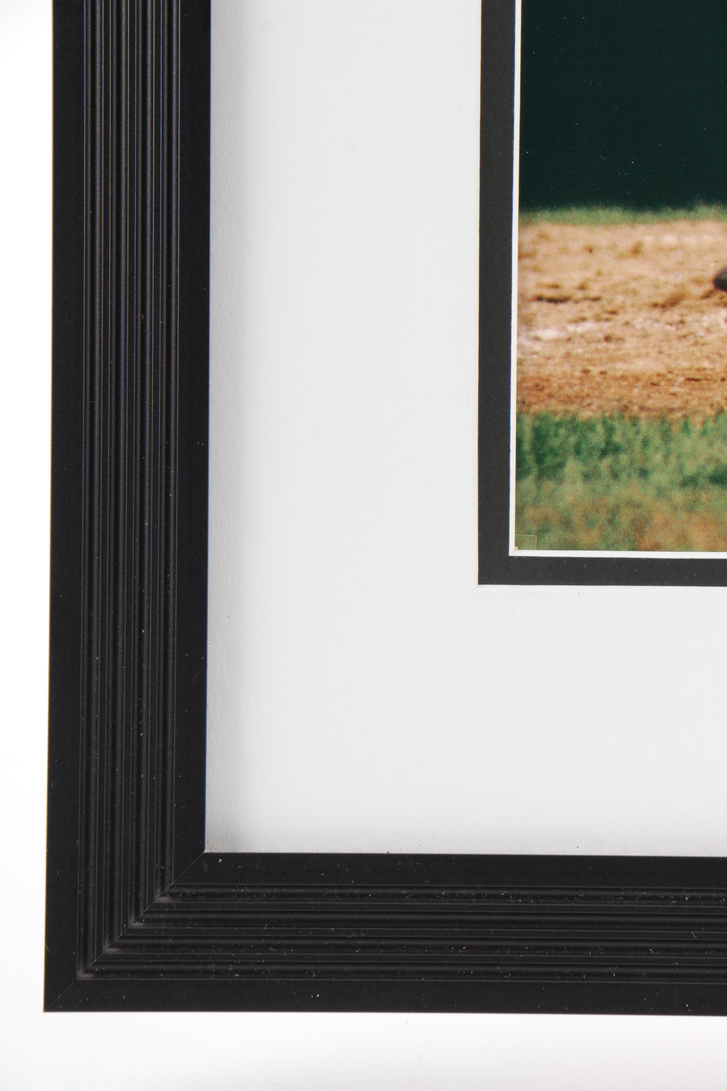 Signed Al Kaline Photograph