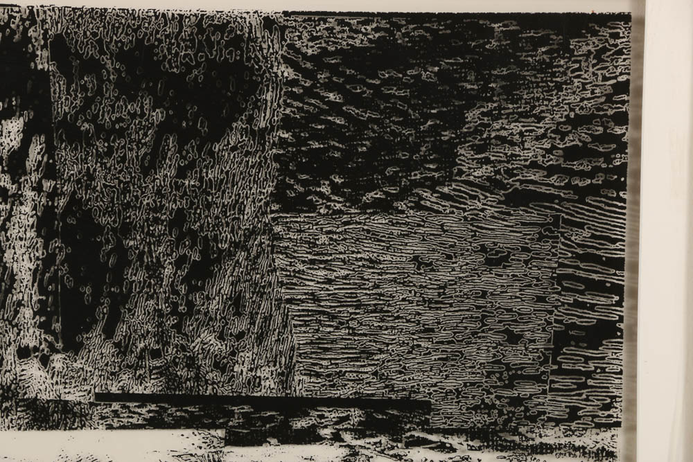 Don Werner Black and White Photograph on Translucent Ground "Mists"