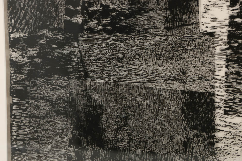 Don Werner Black and White Photograph on Translucent Ground "Mists"