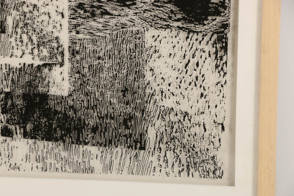 Don Werner Black and White Photograph on Translucent Ground "Mists"