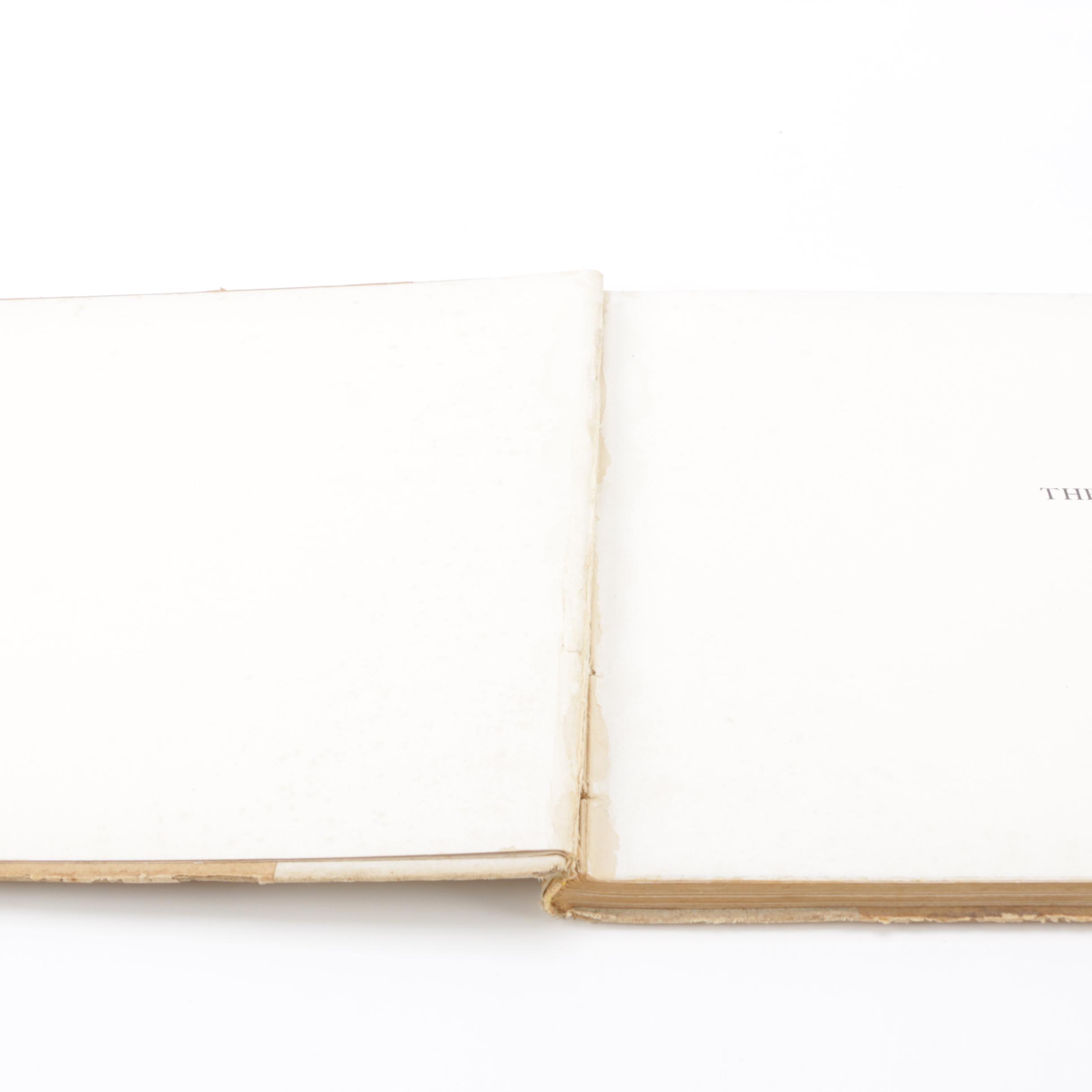 1899 "The Education of Mr. Pipp" by C.D. Gibson