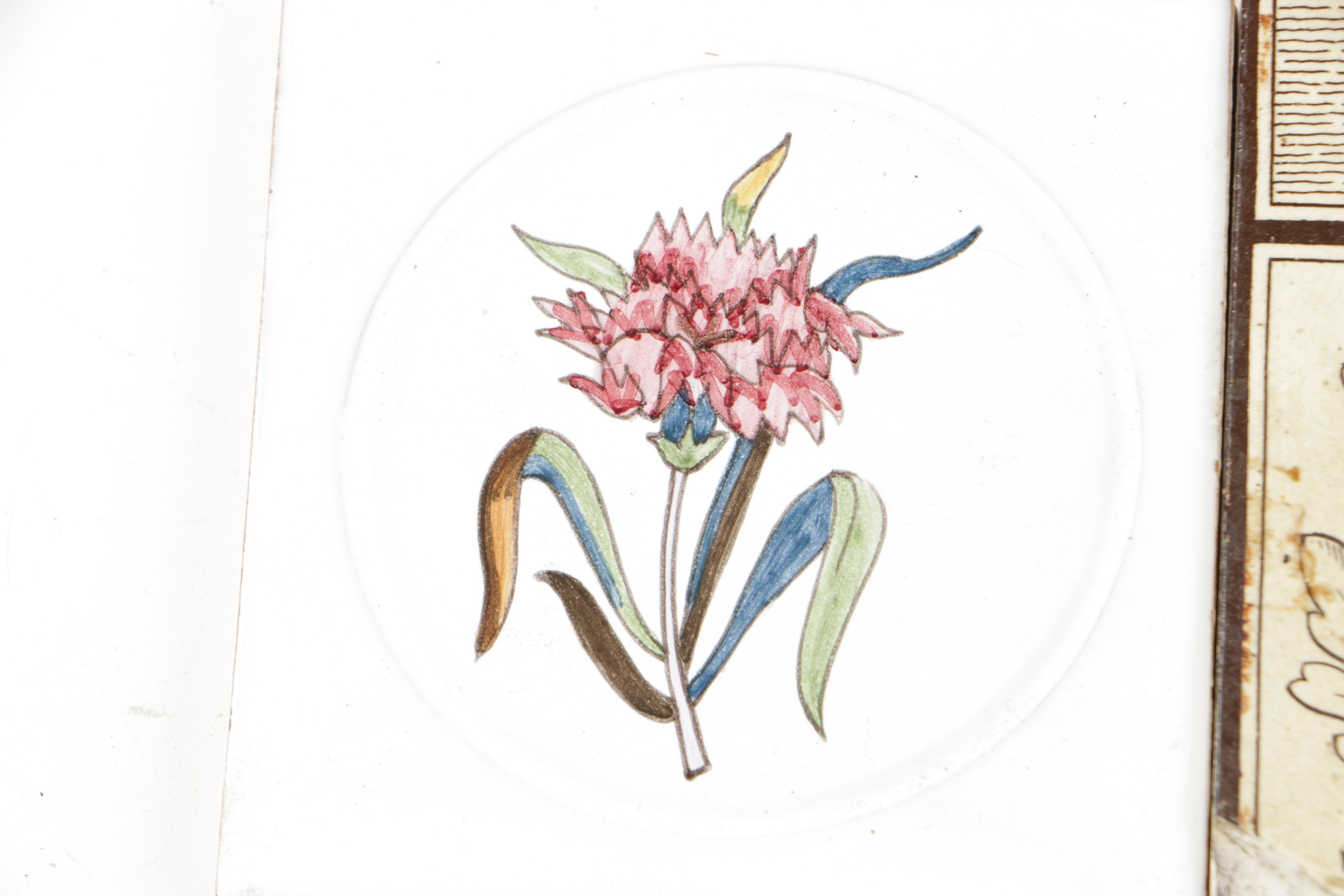 Assorted Ceramic Tiles