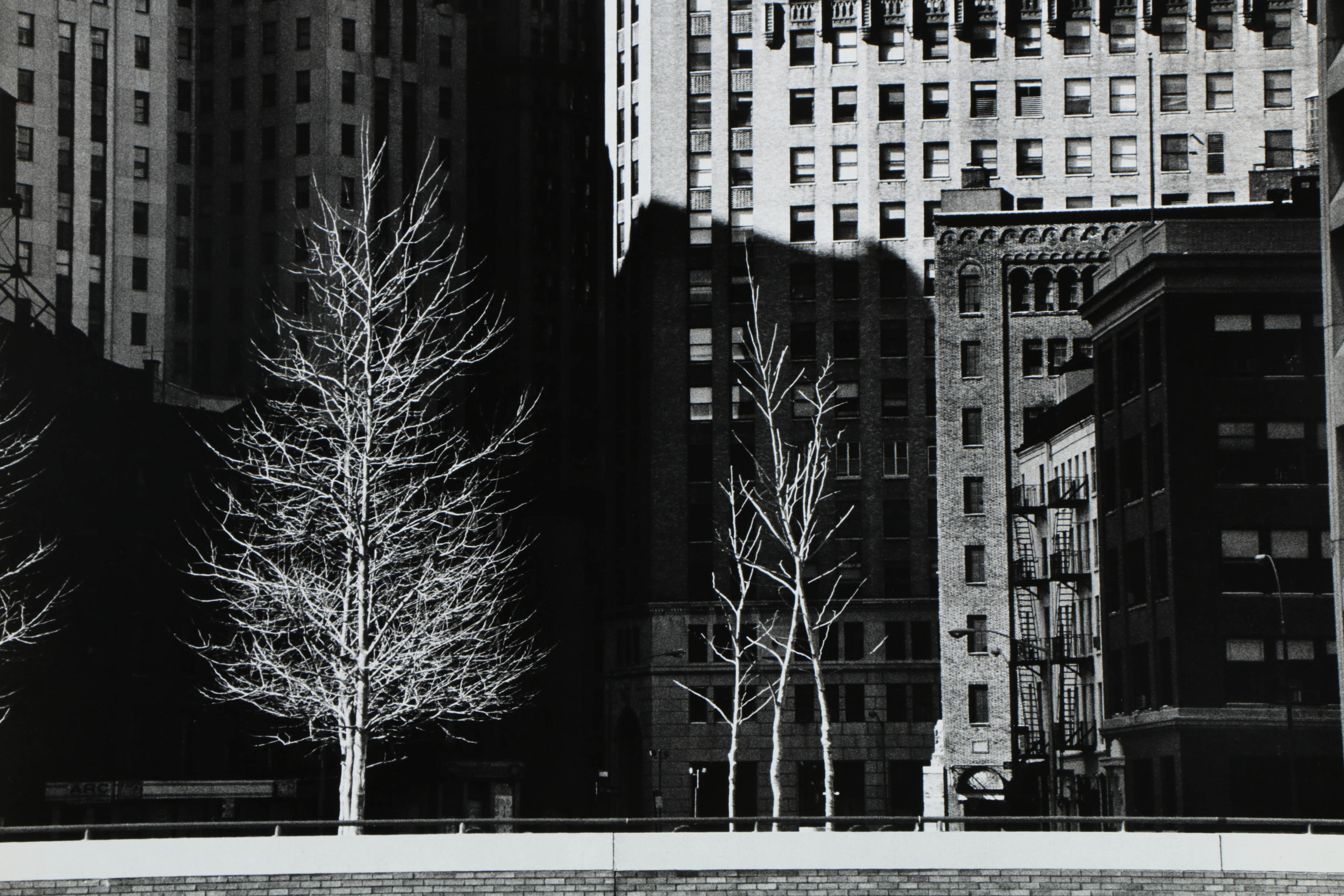 Don Werner Black and White Analog Photograph