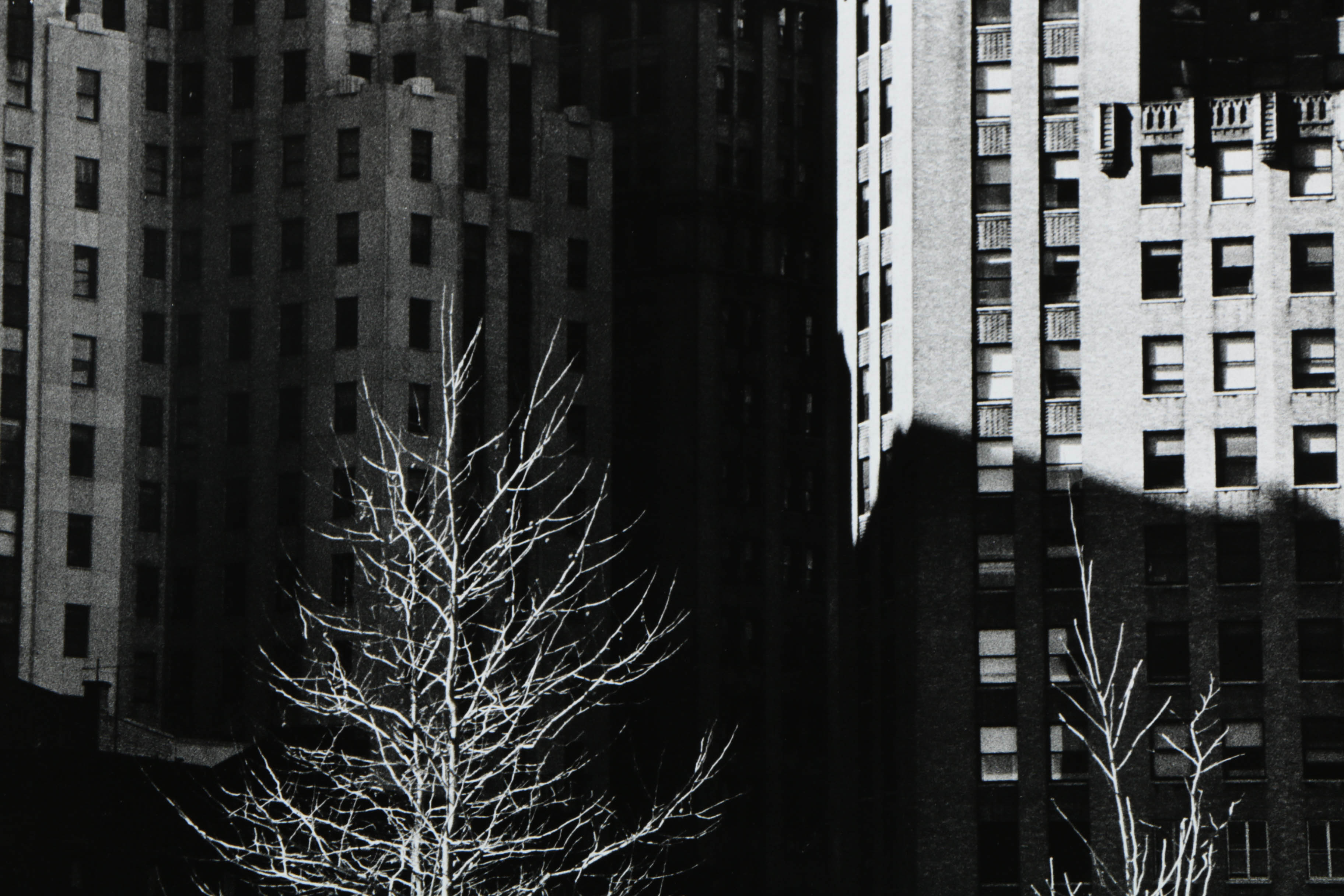 Don Werner Black and White Analog Photograph