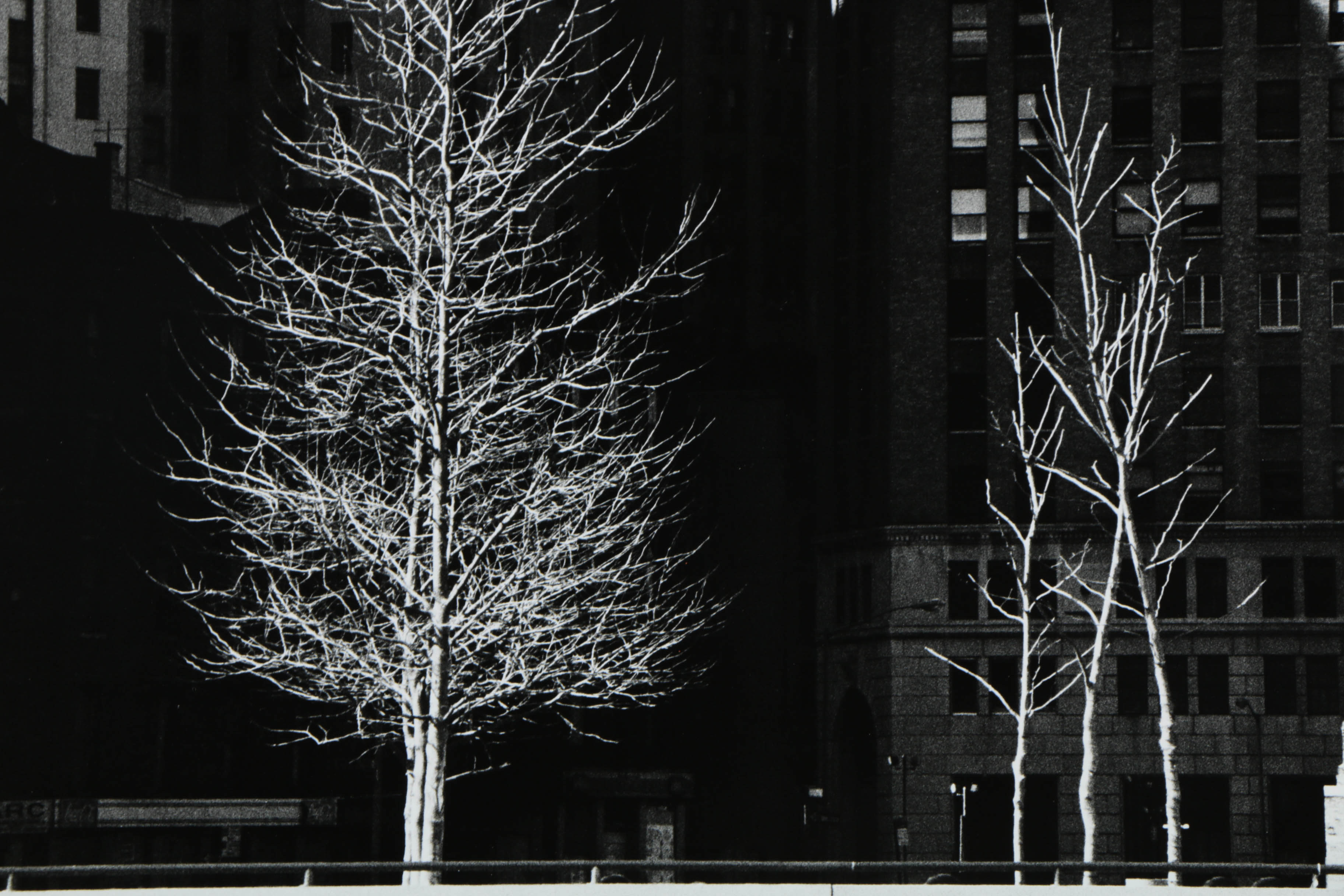 Don Werner Black and White Analog Photograph