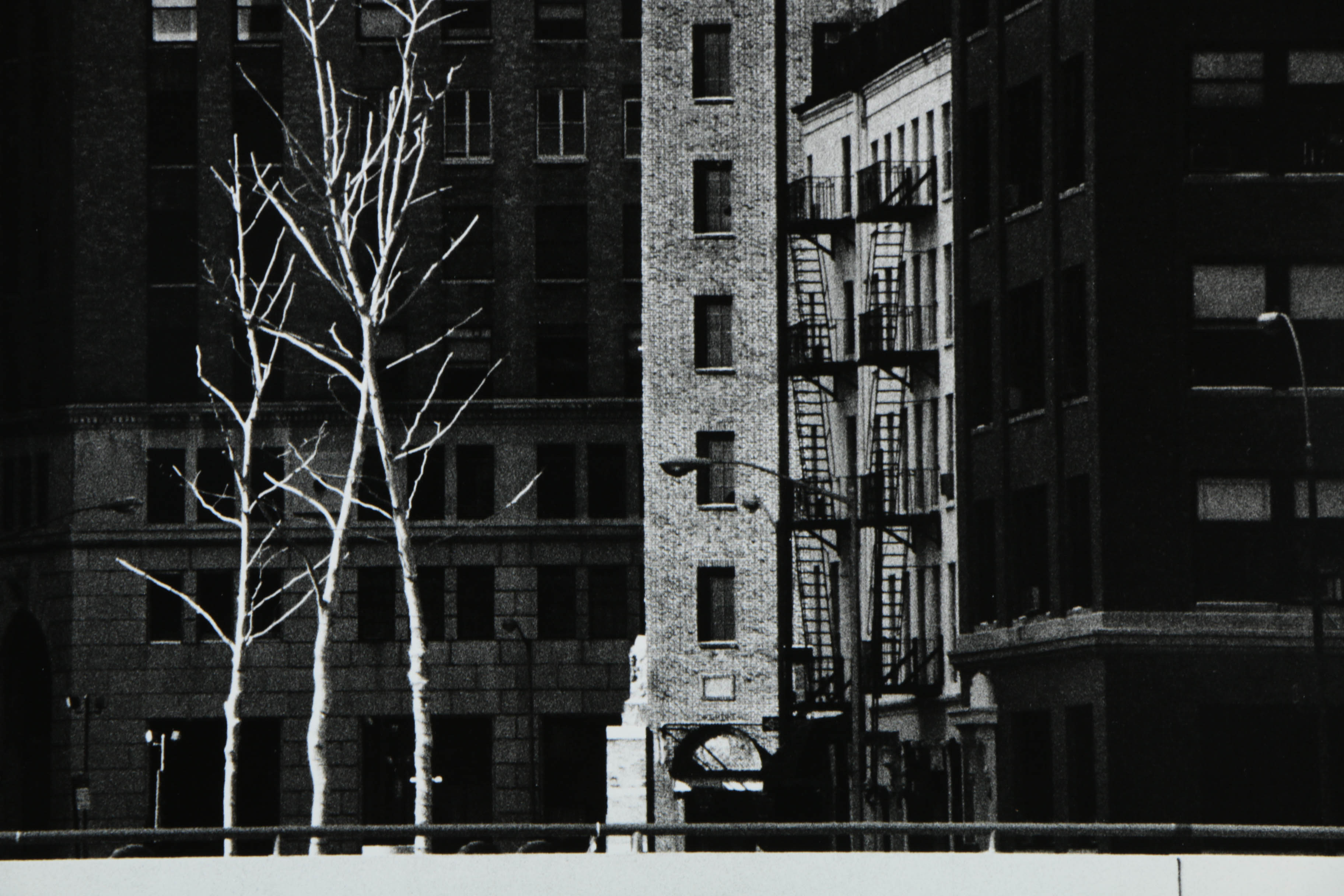 Don Werner Black and White Analog Photograph