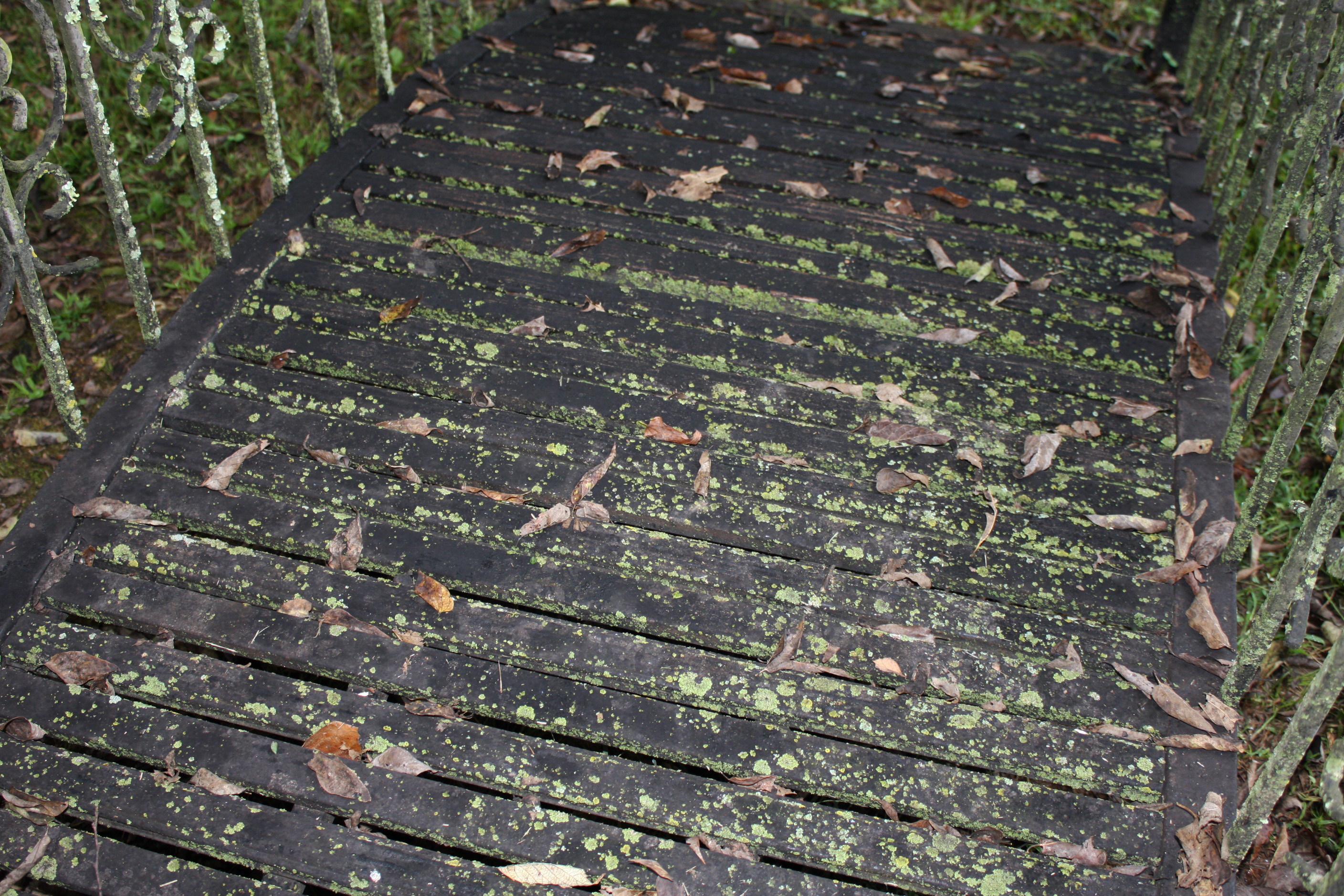 Decorative Metal Garden Bridge