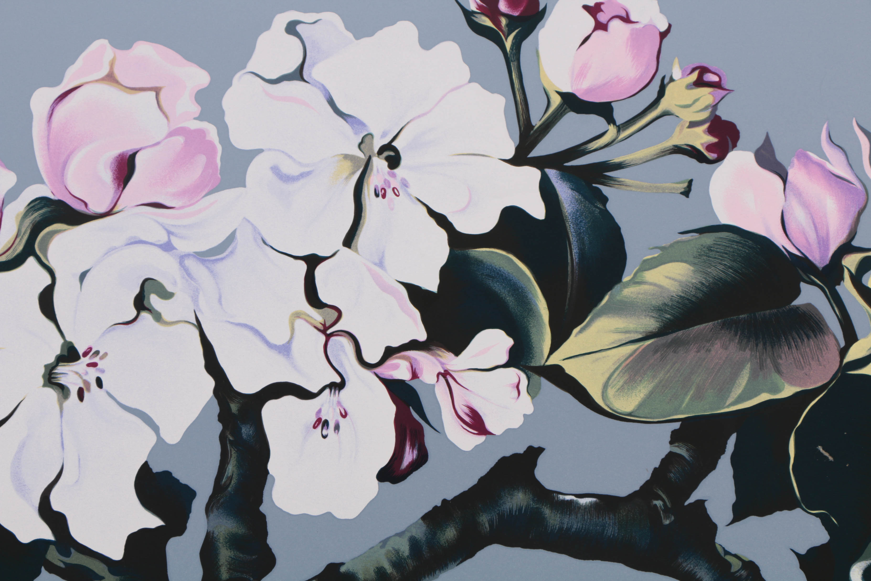 Lowell Nesbitt 1980 Signed Limited Edition Serigraph "Apple Blossom"