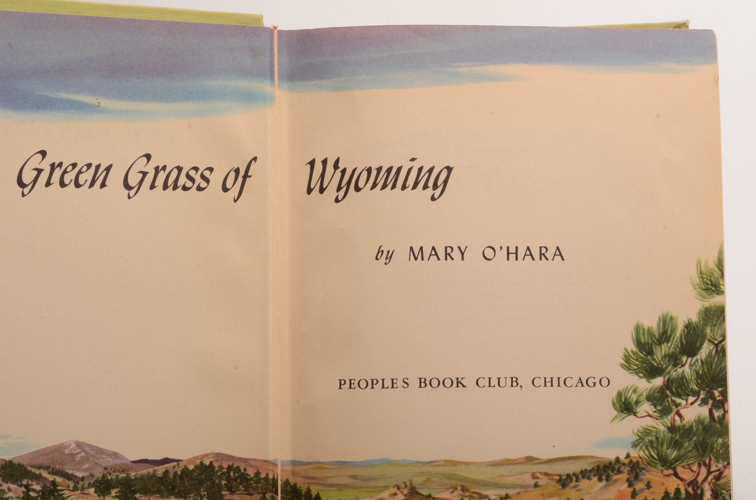 Classic Literature Book Group