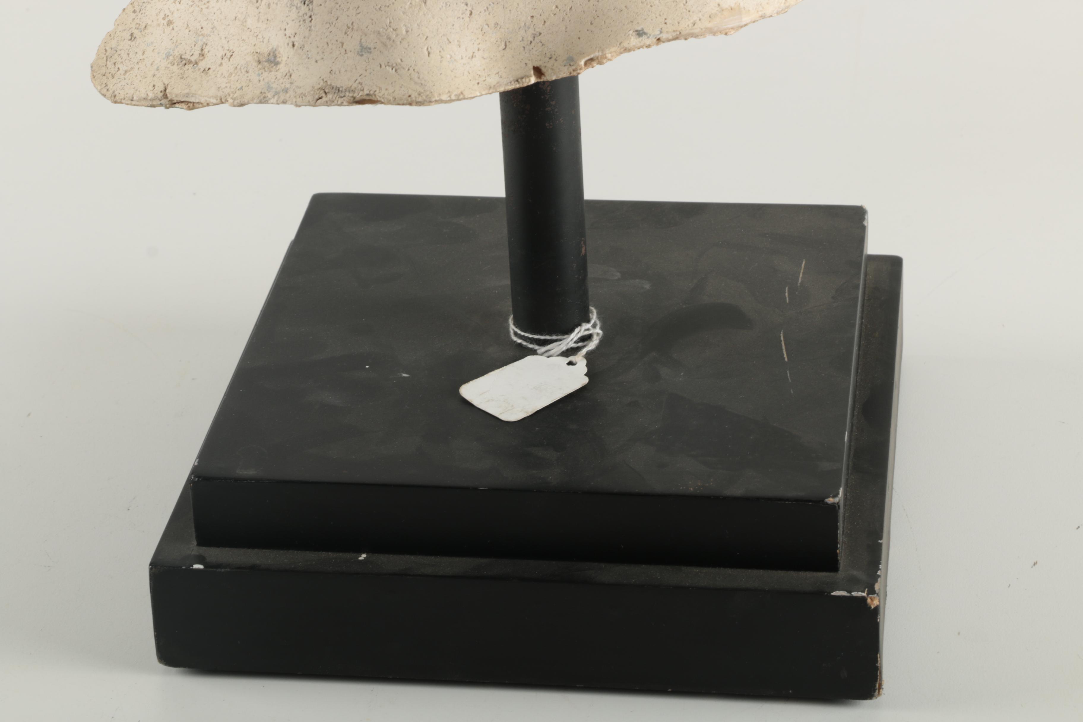 Cast Facial Ceramic Bust