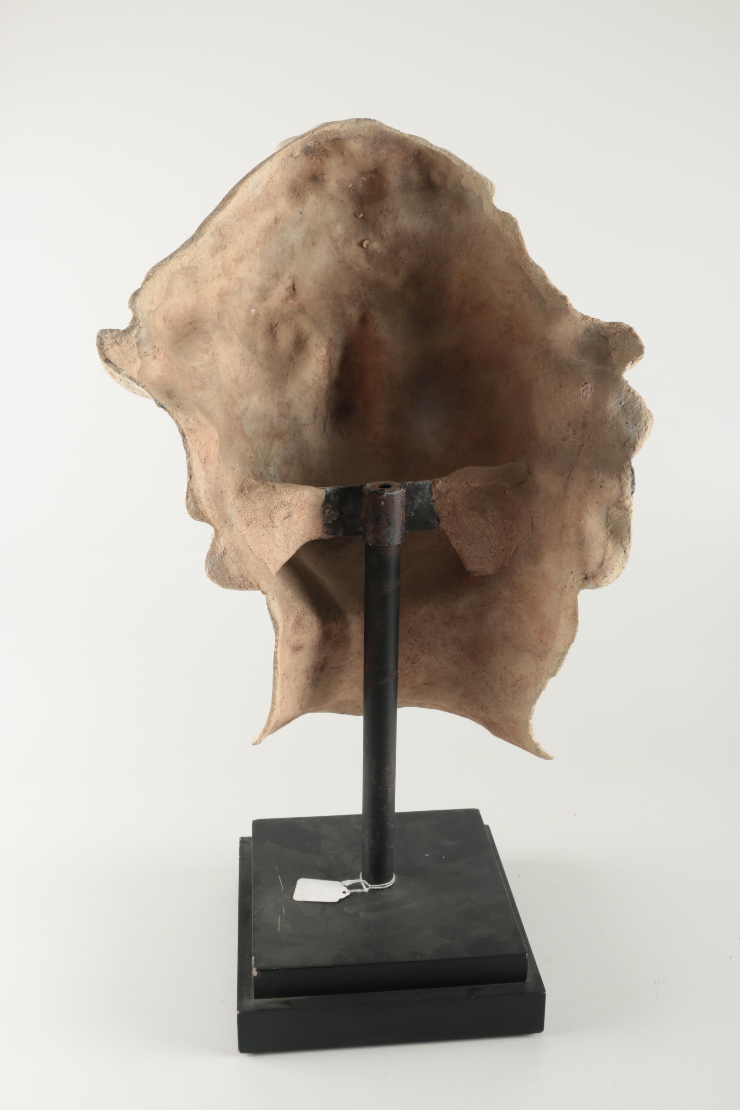 Cast Facial Ceramic Bust