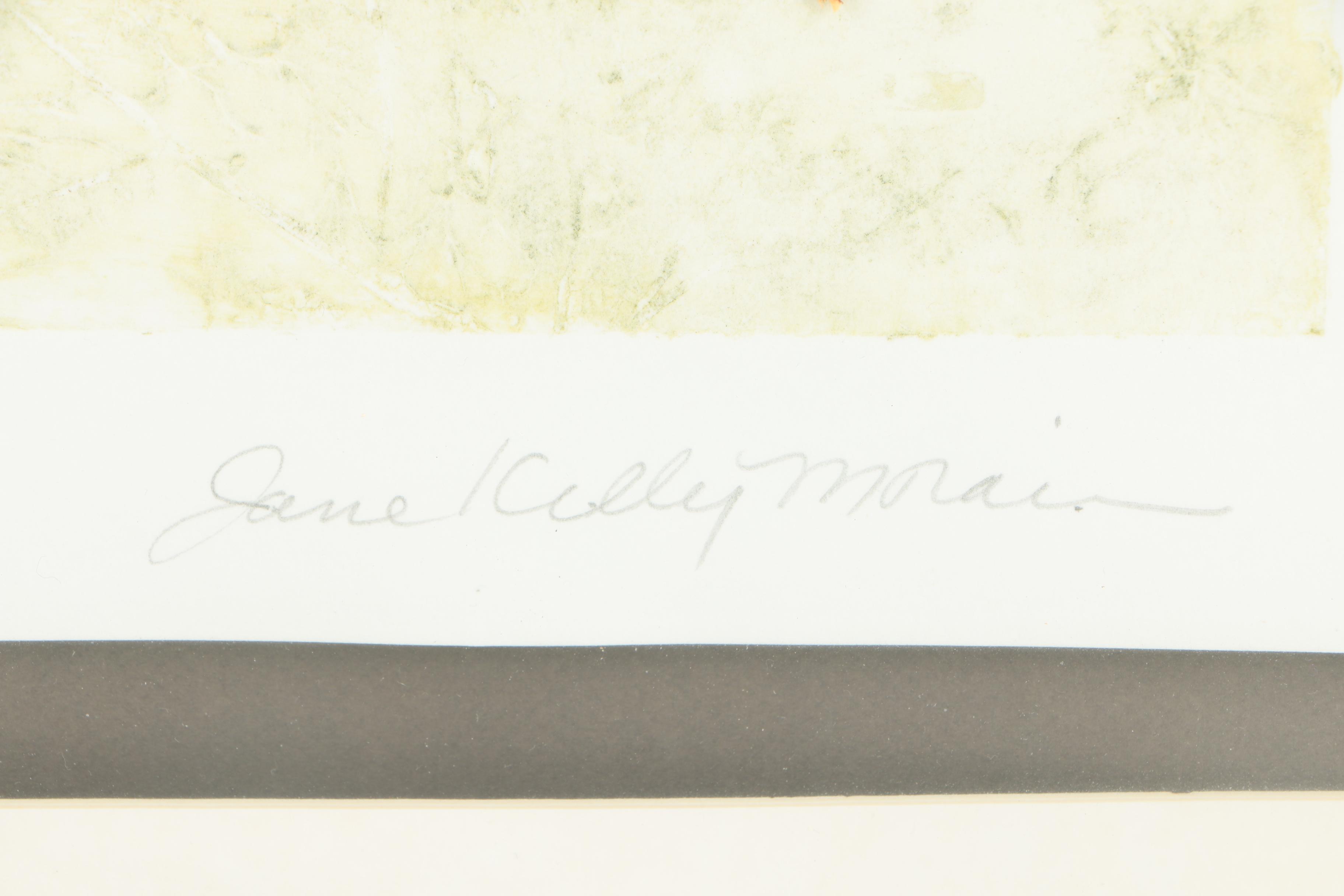 Jane Kelly Morais Mixed Media "Centerfold"