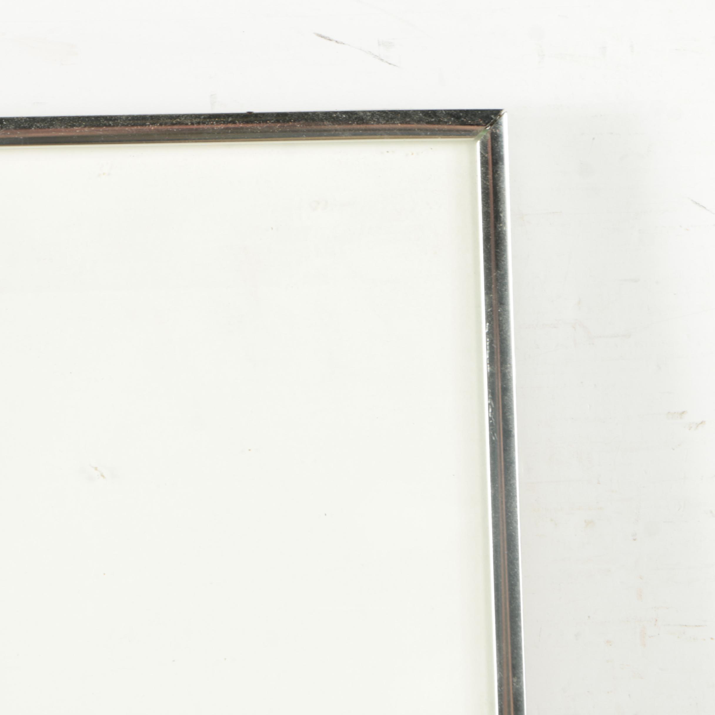 Giclee Print on Acetate