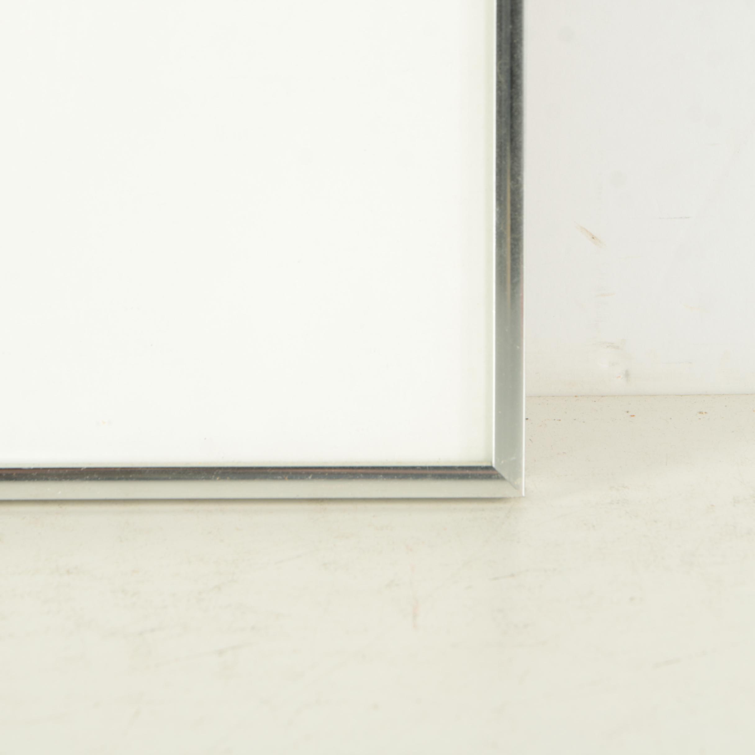 Giclee Print on Acetate