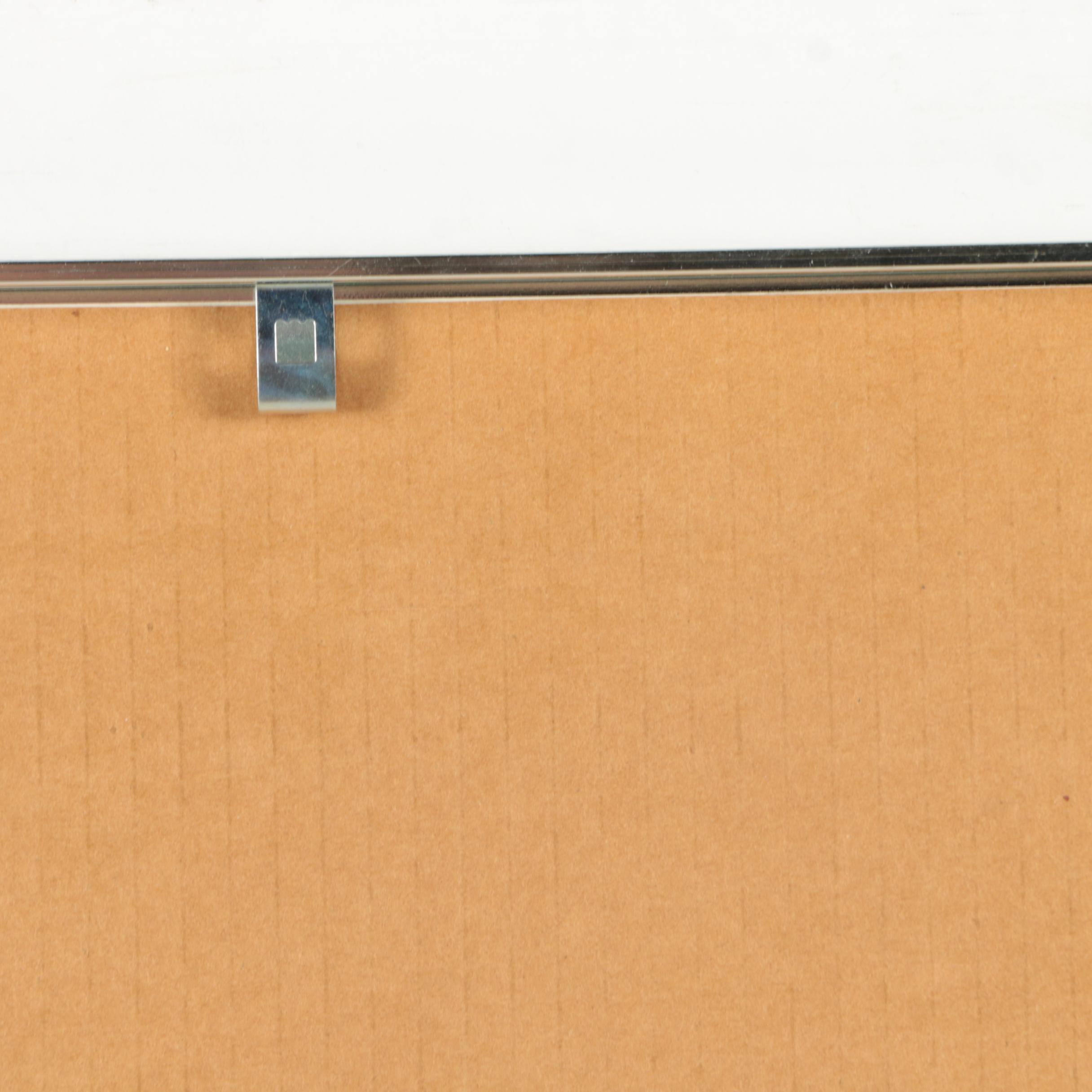 Giclee Print on Acetate