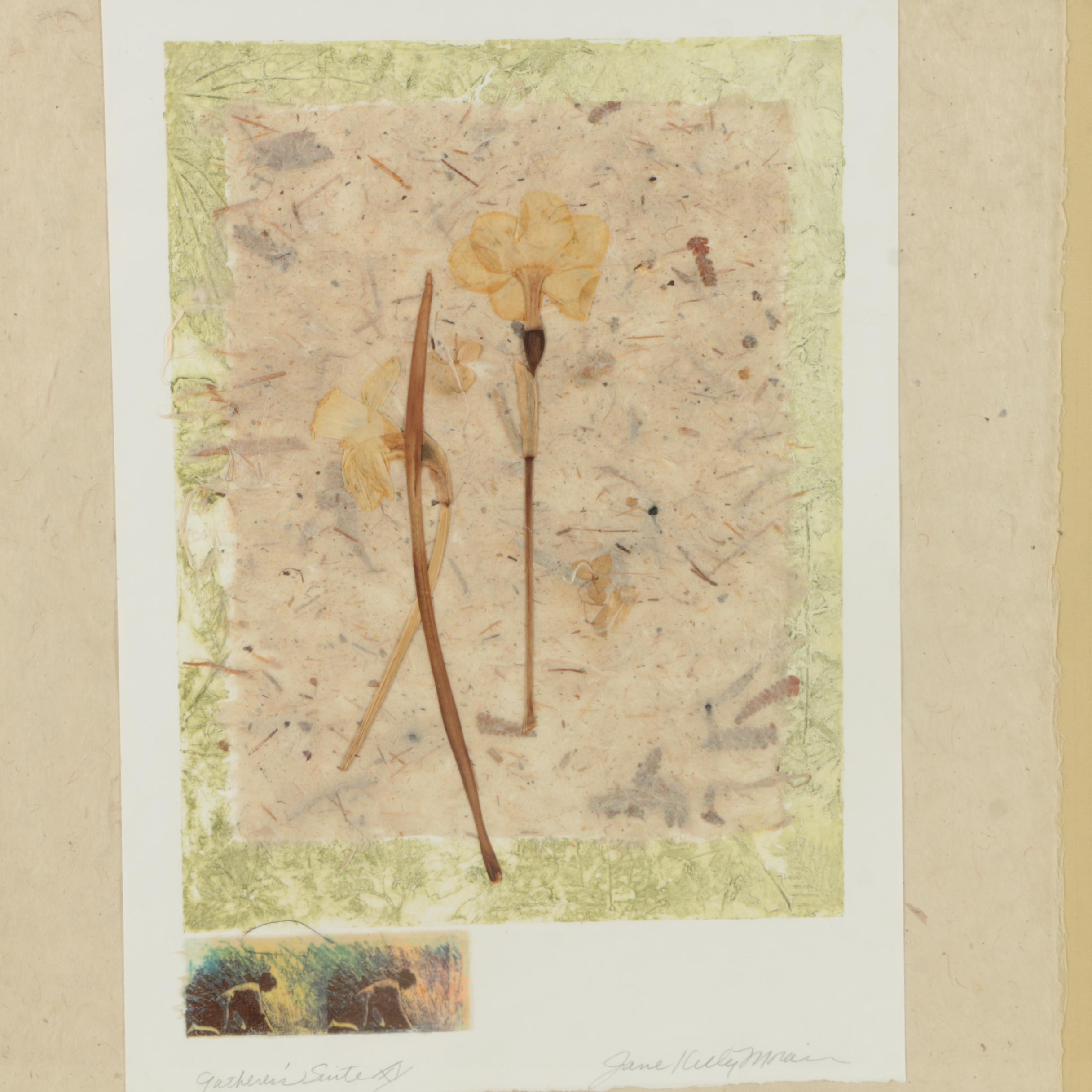 Jane Kelly Morais Mixed Media "Gatherer's Suite"