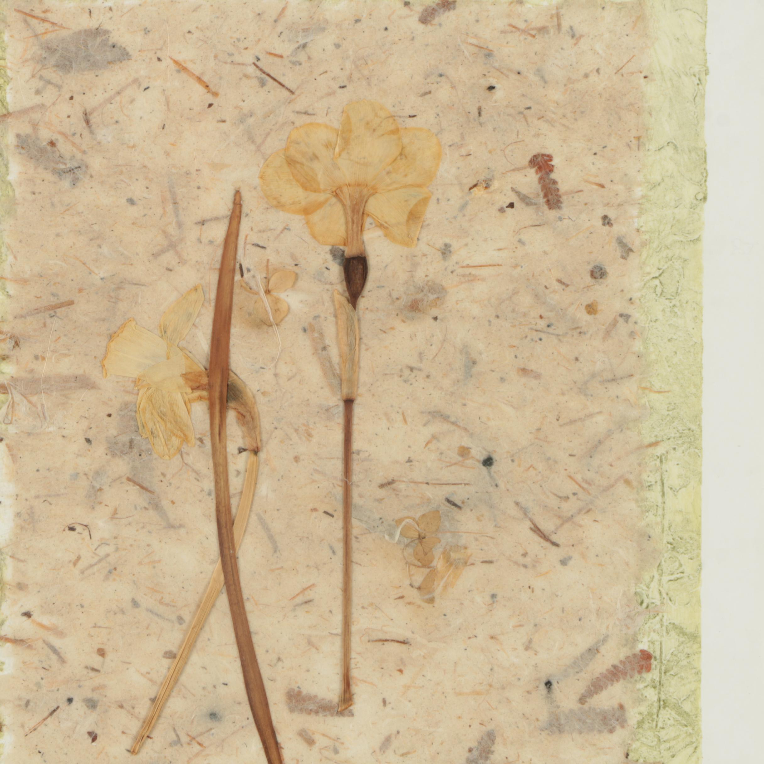 Jane Kelly Morais Mixed Media "Gatherer's Suite"