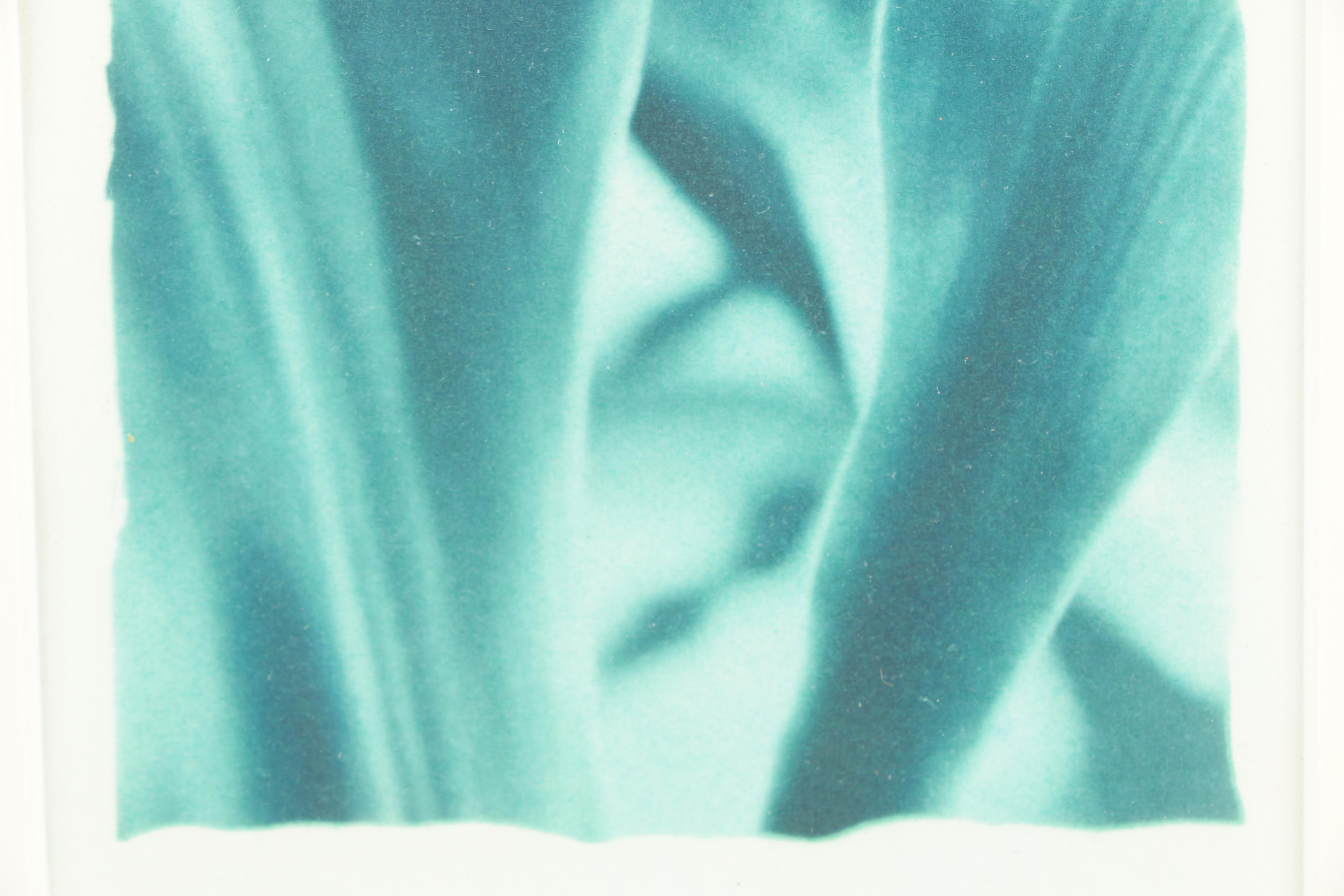 Carol Samour Gum Print Over Cyanotype "Cornplant"