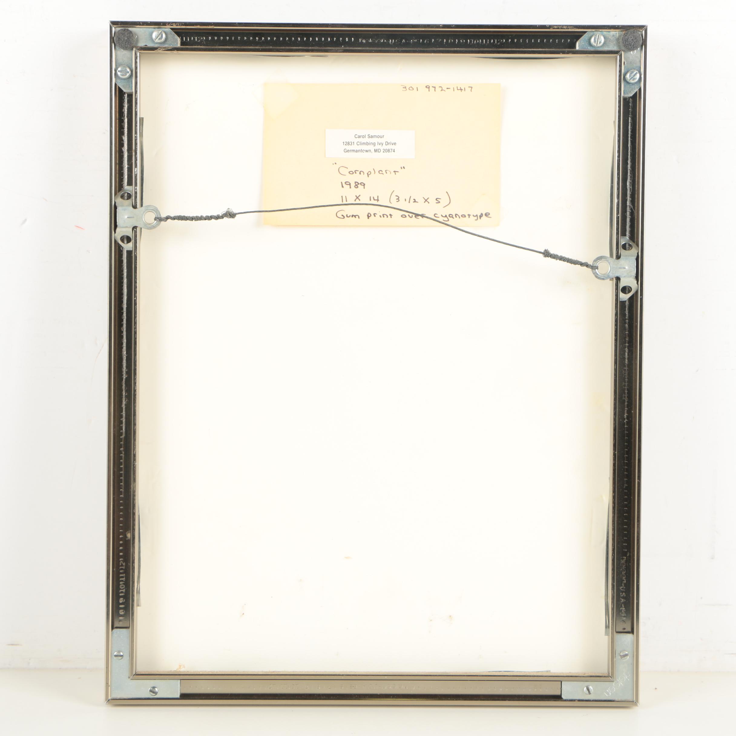 Carol Samour Gum Print Over Cyanotype "Cornplant"