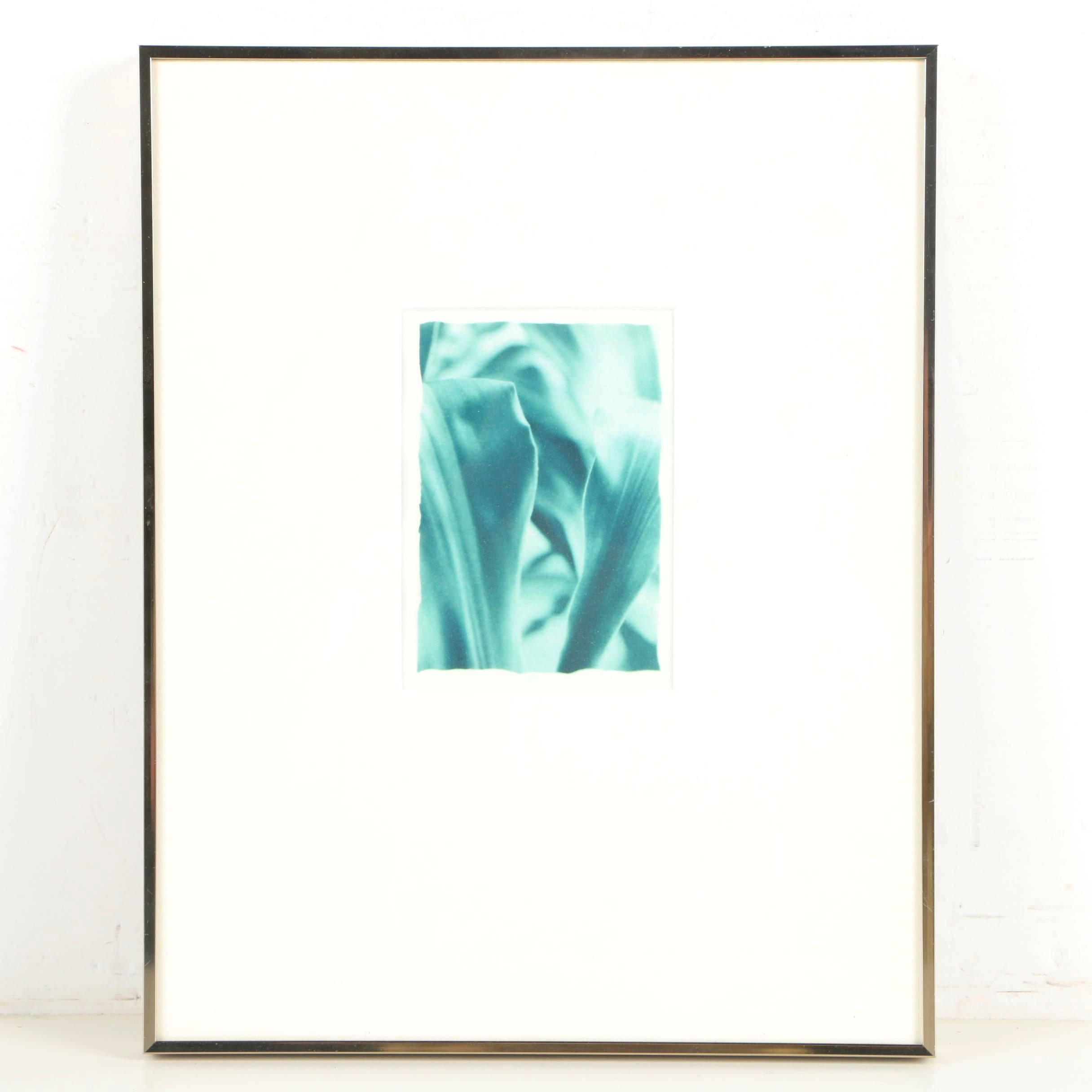 Carol Samour Gum Print Over Cyanotype "Cornplant"