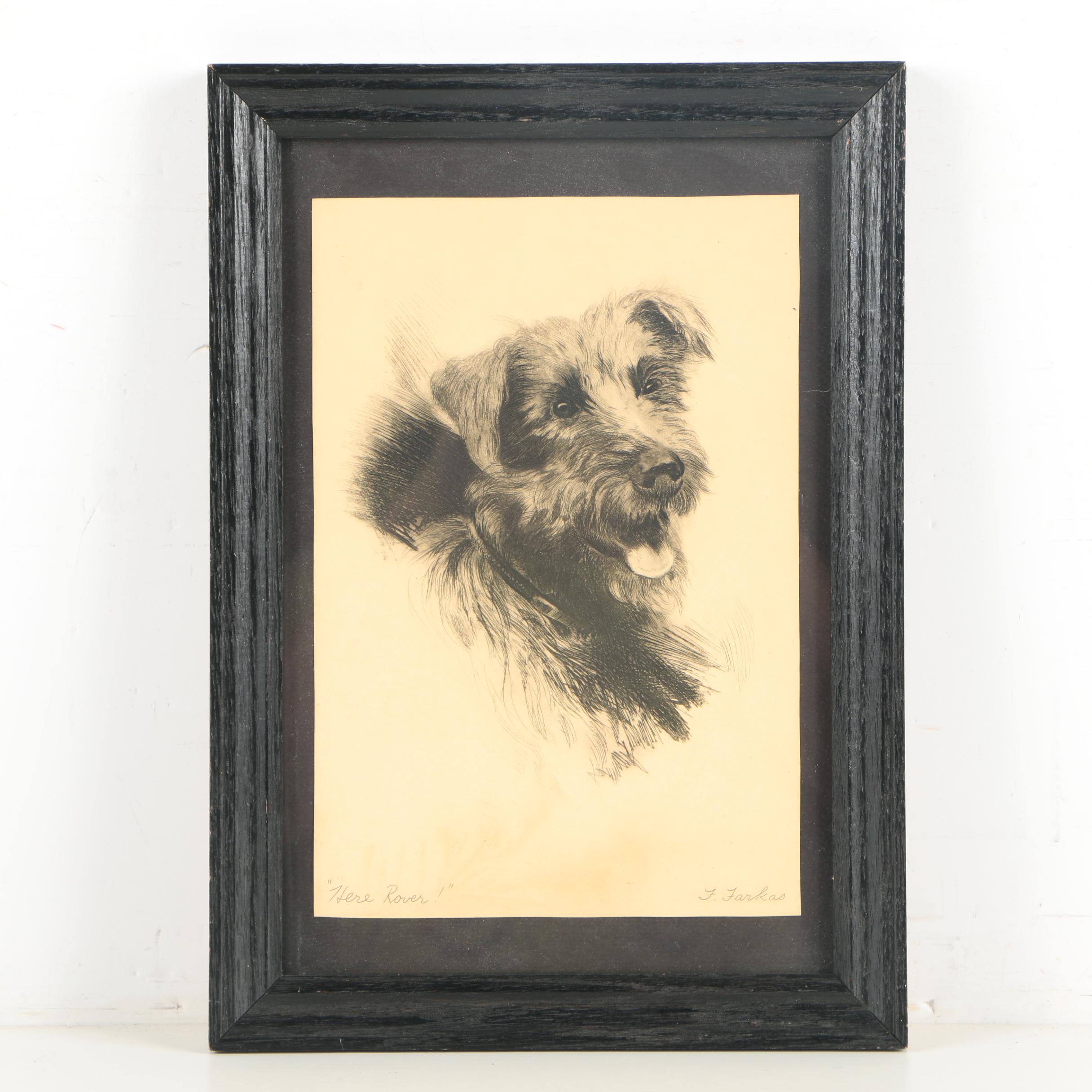 Frank Farkas Etching "Here Rover!"