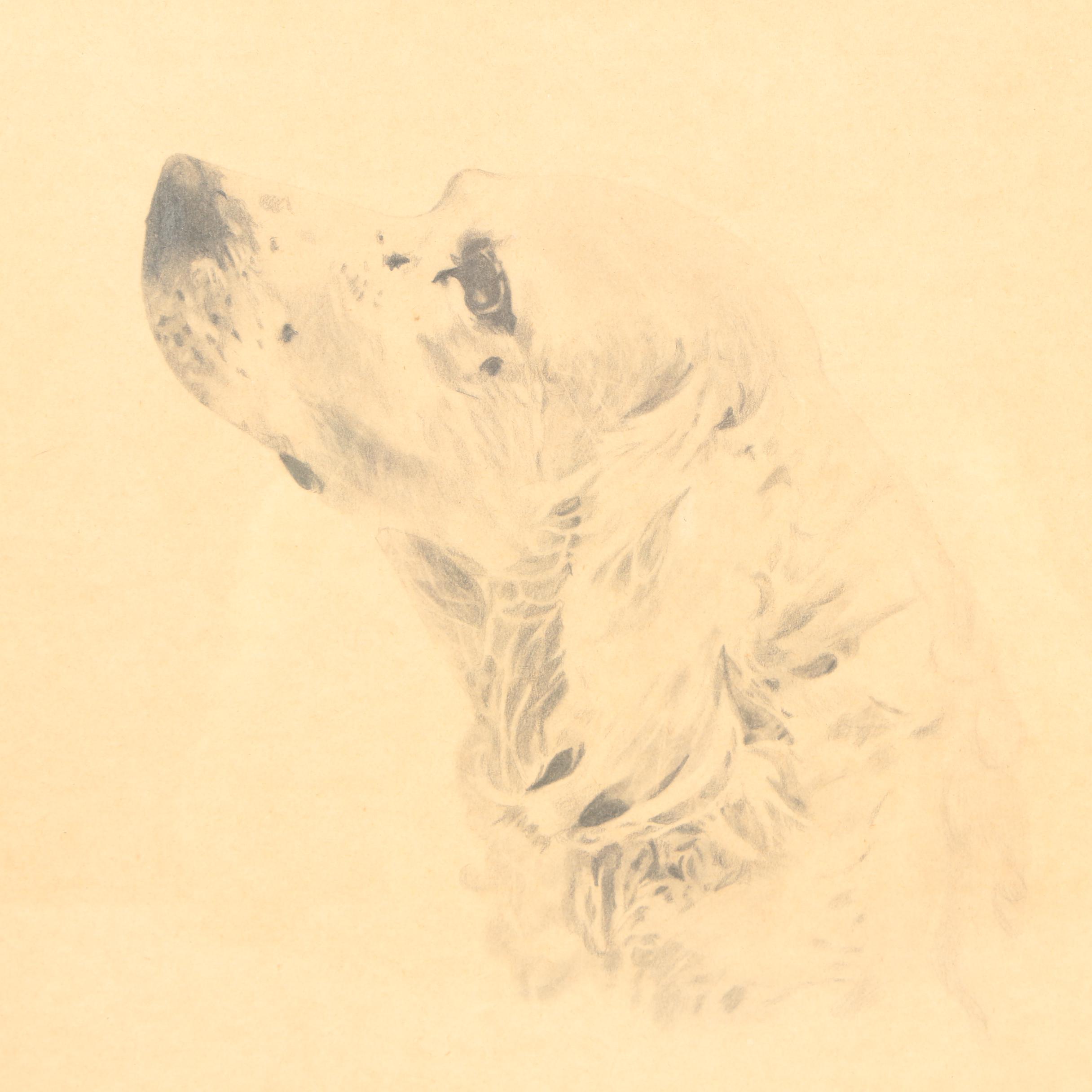 Irv Brown and Willie Minchaca Drawings of Cocker Spaniels